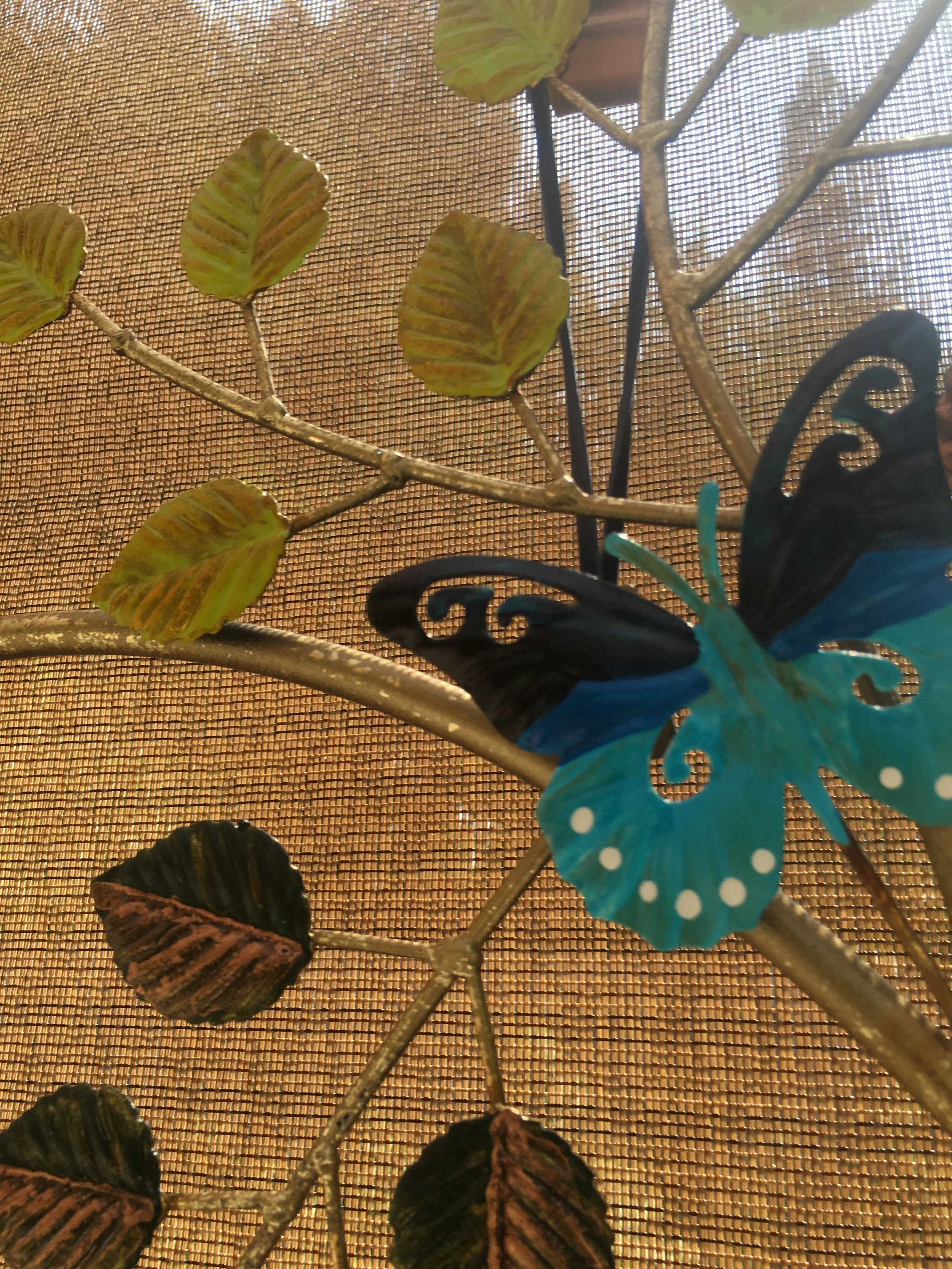 #35 Pipevine detail.JPG