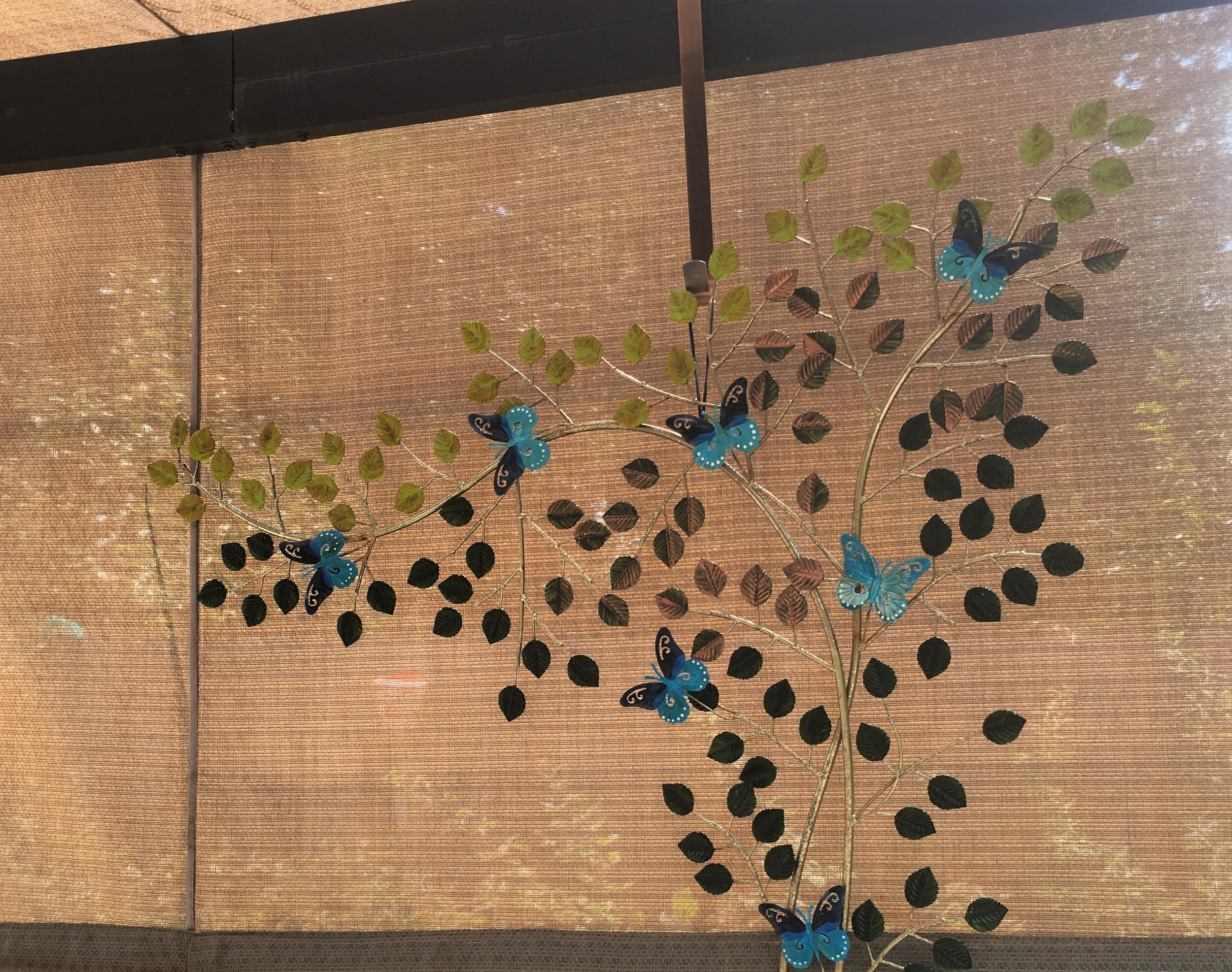 #35 Pipevine on canvas.JPG