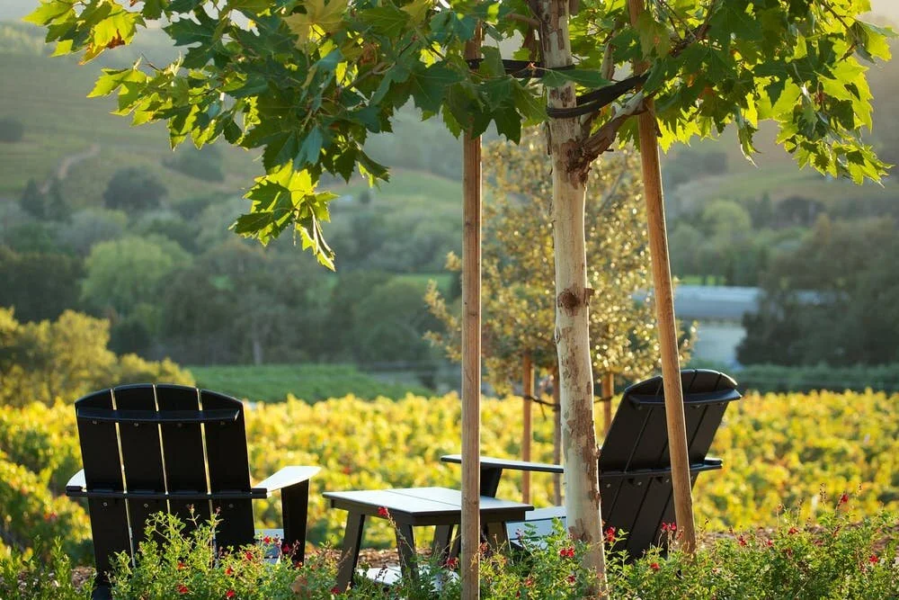 Napa Valley Wine Tours from San Francisco