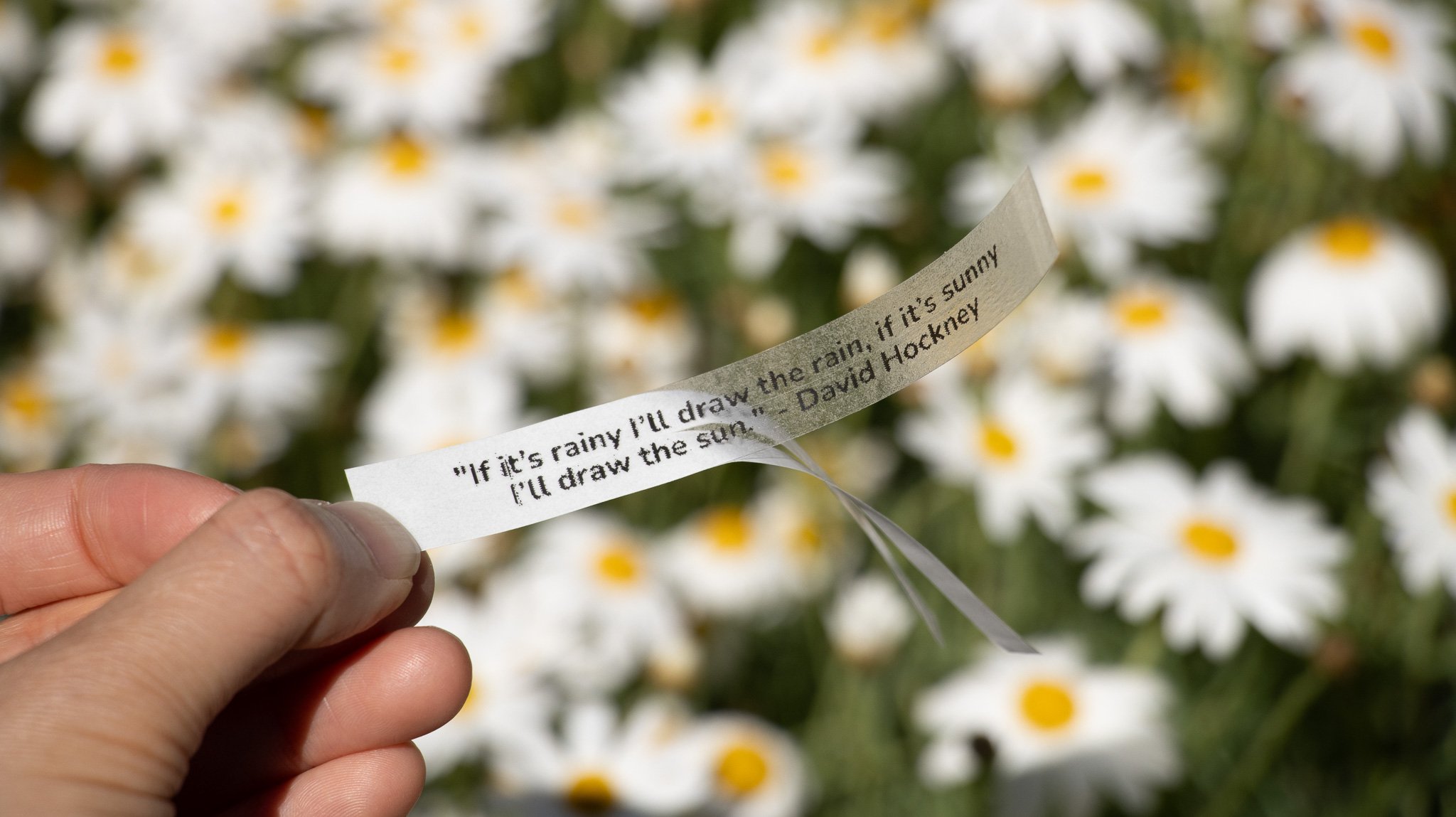 Witty Fortune Sticker