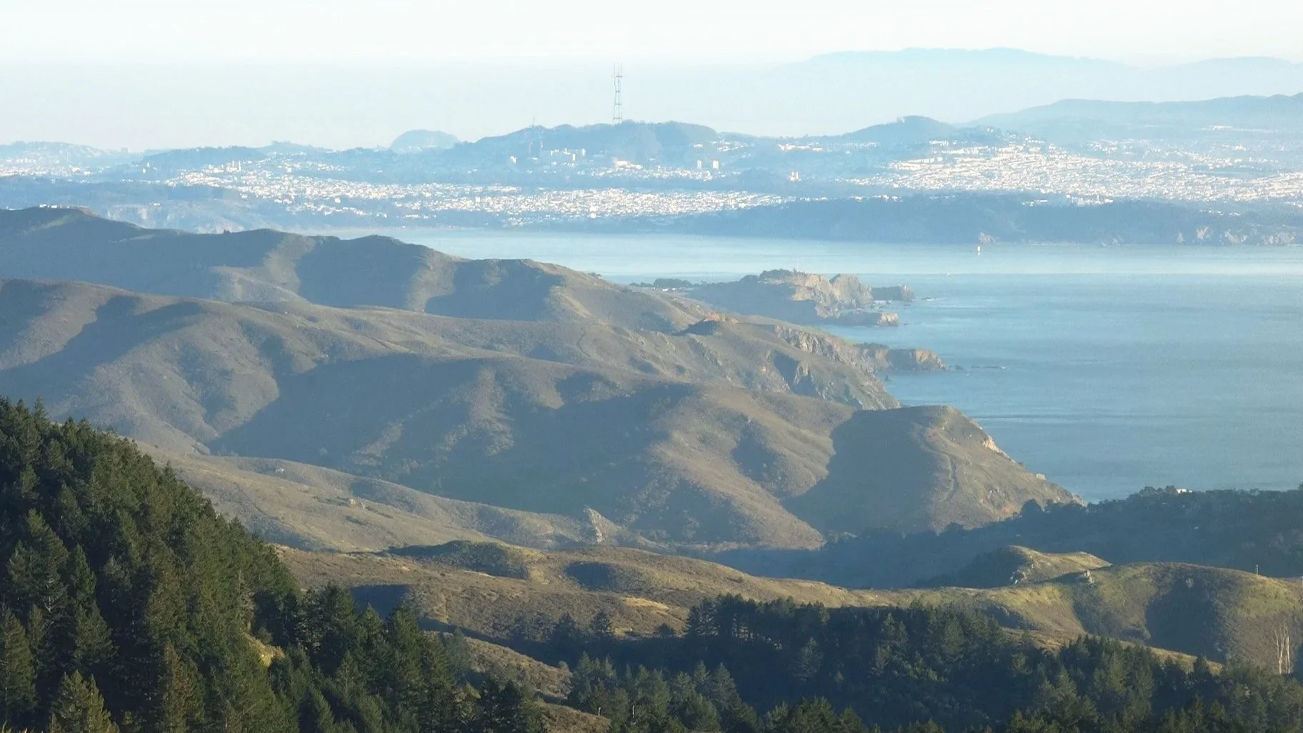 Looking Back:                   Five Unexpected Moments from 2025