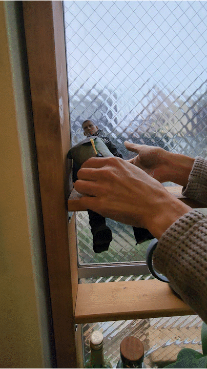 20260409_172240_4.gif
