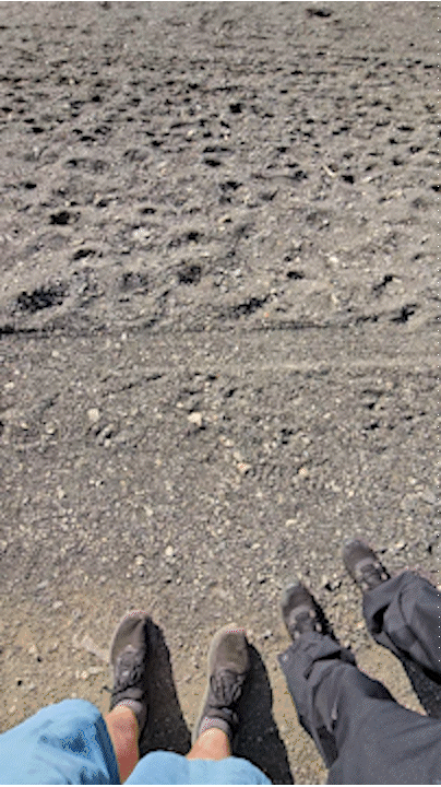 20260409_172240_26.gif