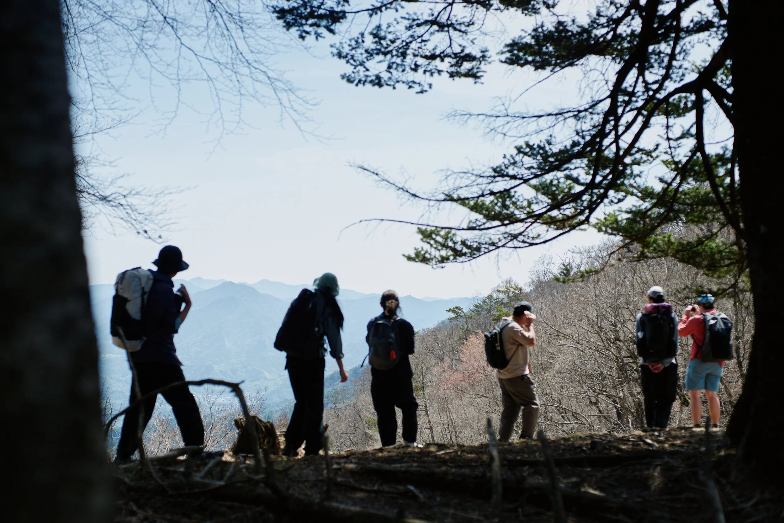 260417_Bamboo_0612.jpg