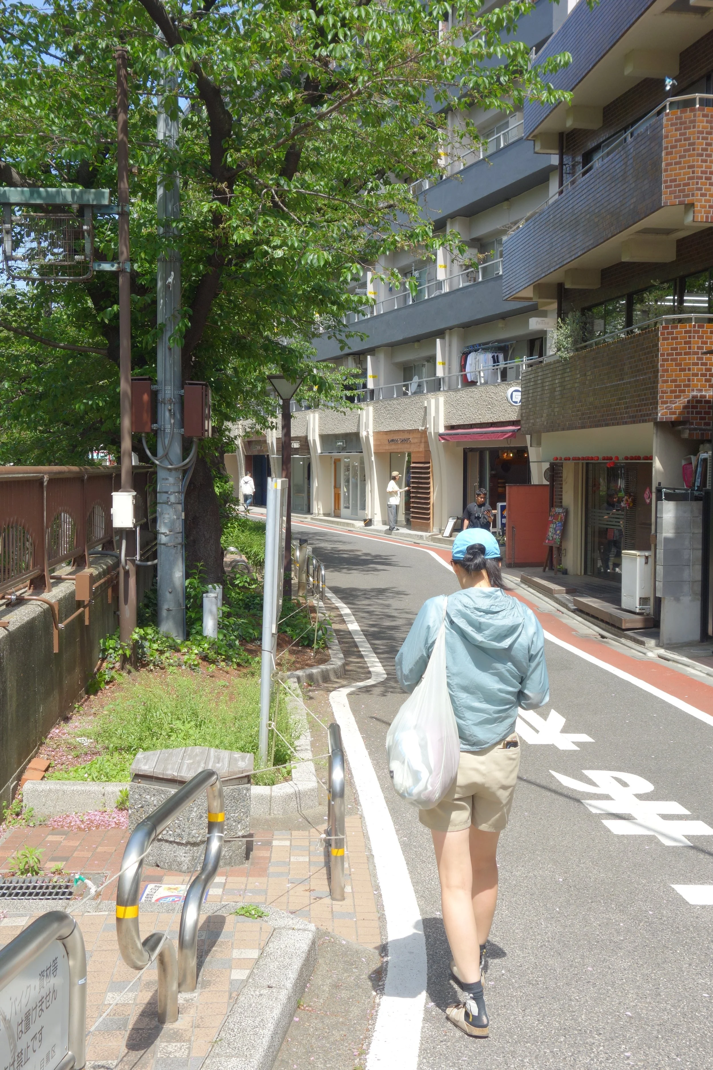 DSC07181.JPG