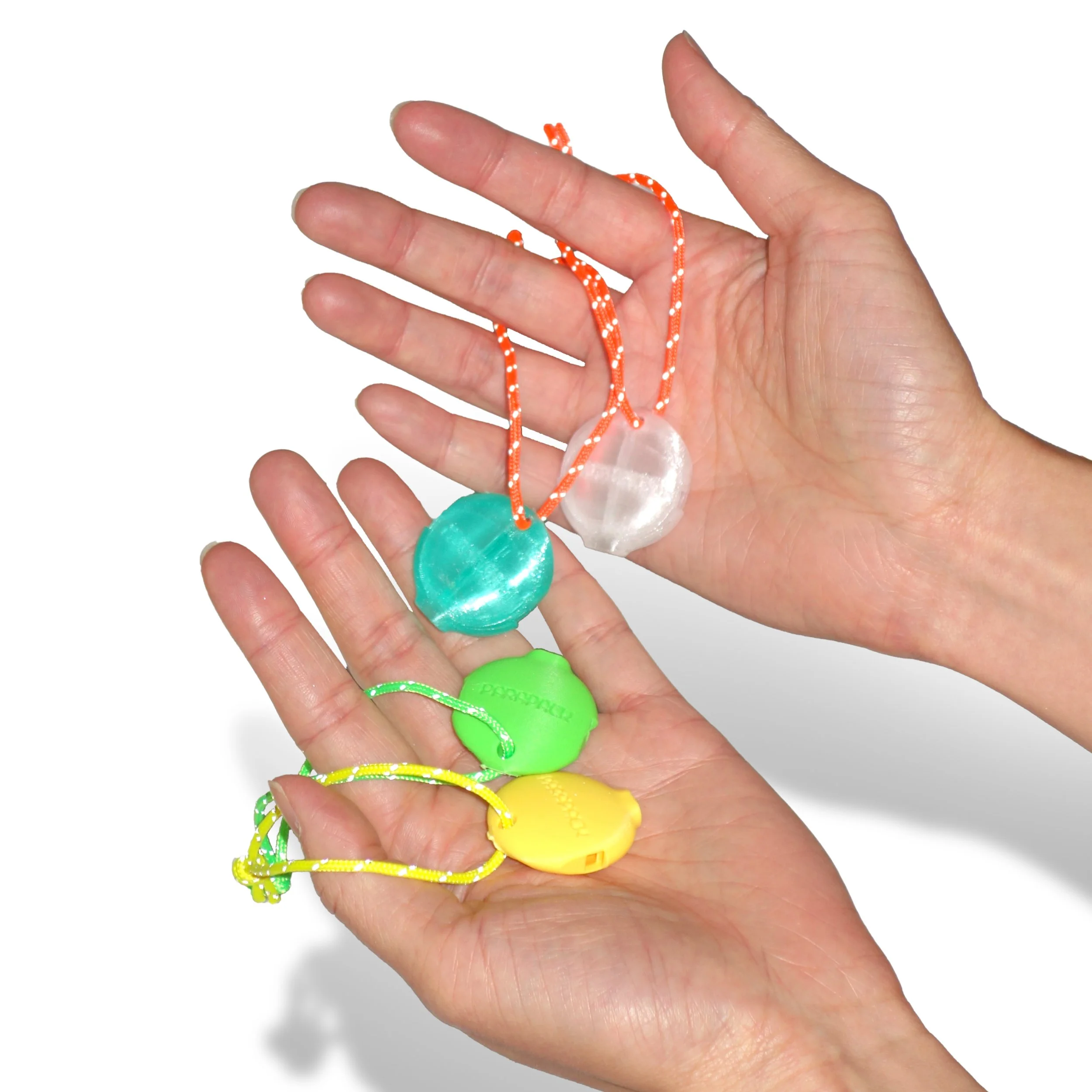 Disc Whistle_collage01.jpg