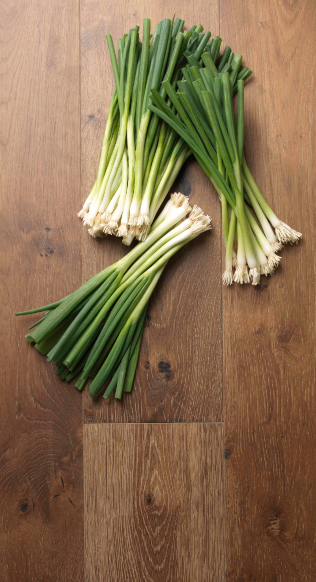 Screen Shot 2020-06-19 at 9.31.30 AM.png