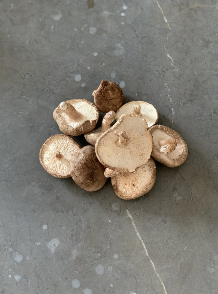 Screen Shot 2020-06-19 at 9.41.39 AM.png