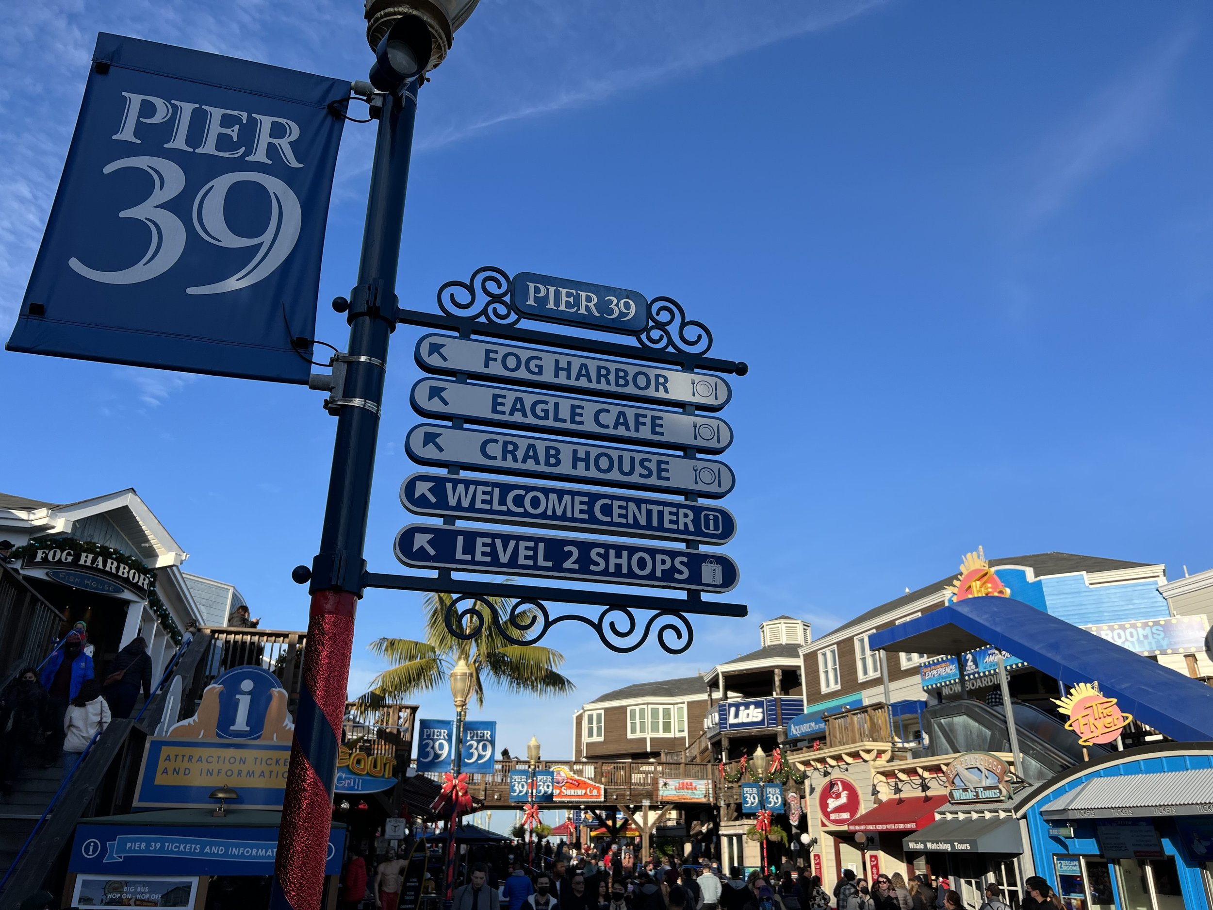 Fisherman's Wharf San Francisco: 9 Top Things to Do (by a Local