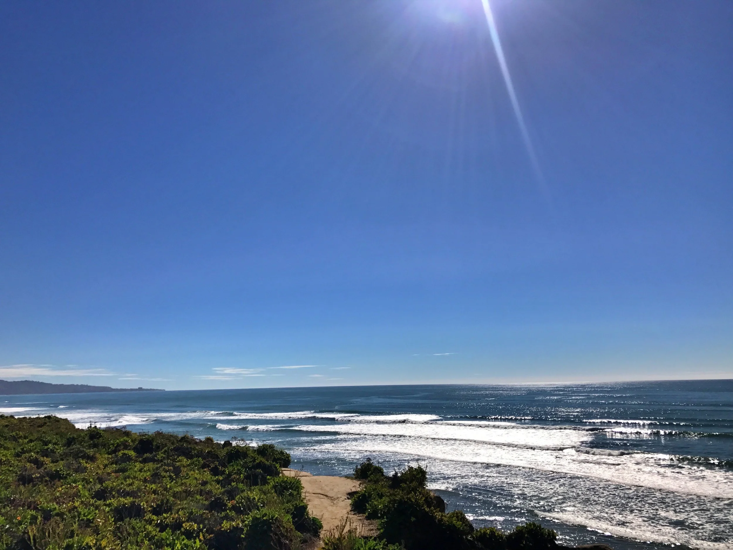 Torrey Pines Overlooking the Pacific Ocean