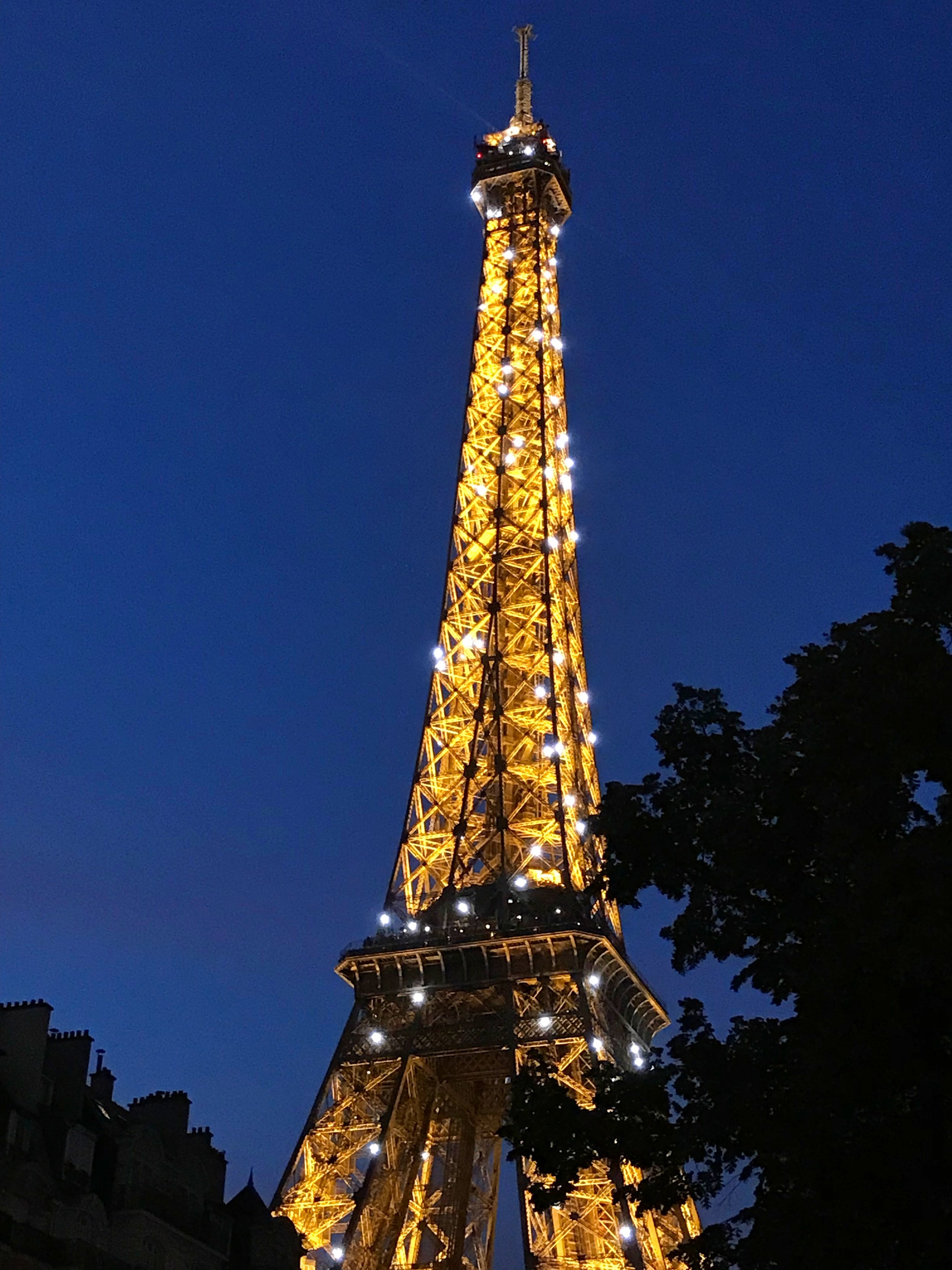 The Eiffel Tower