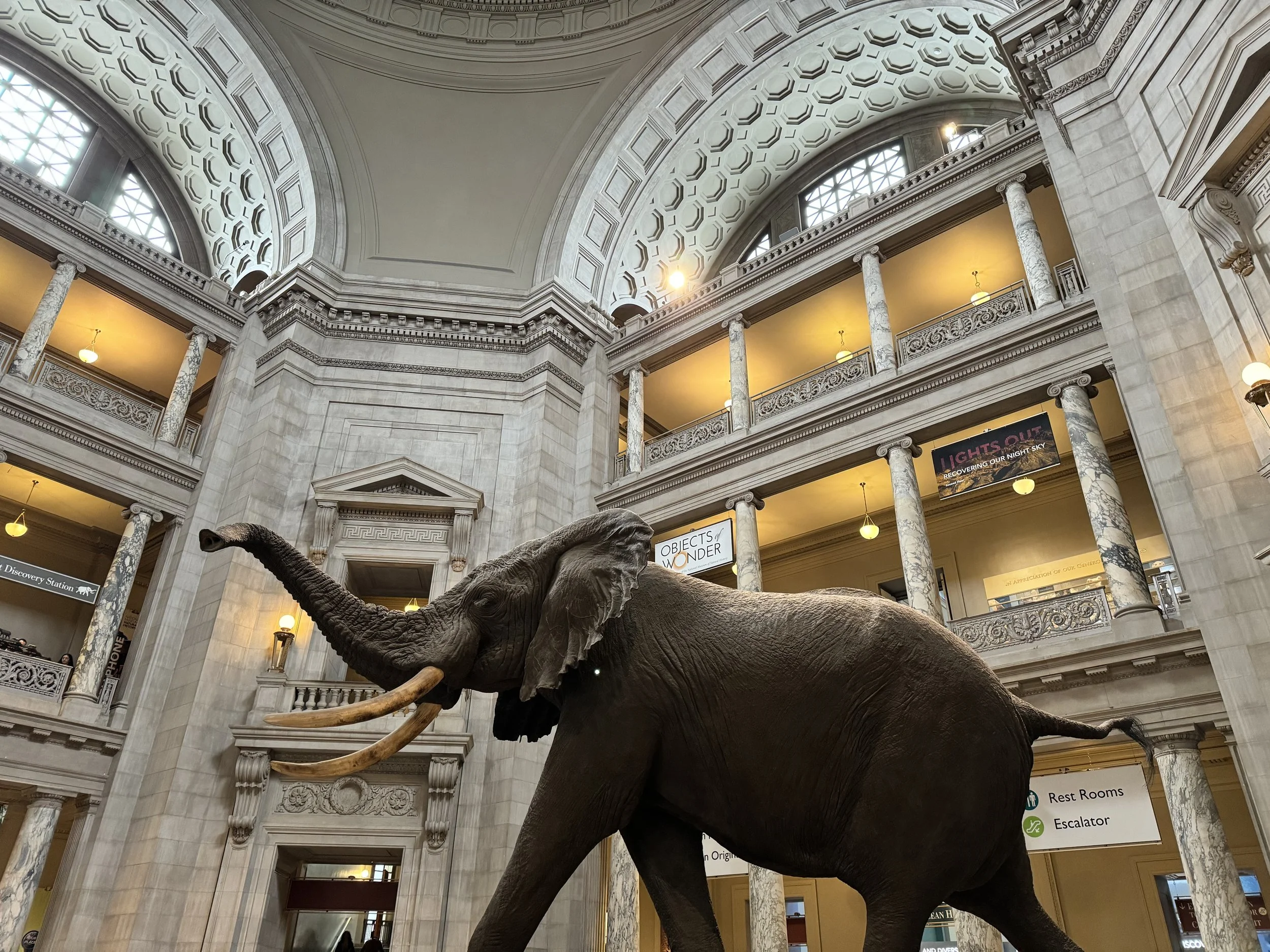 Natural History Museum