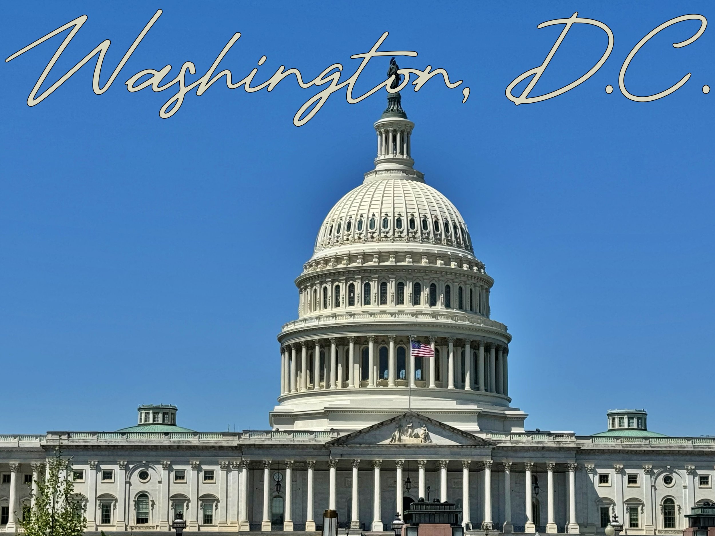 The Top 10 Things To Do In Washington, D.C.