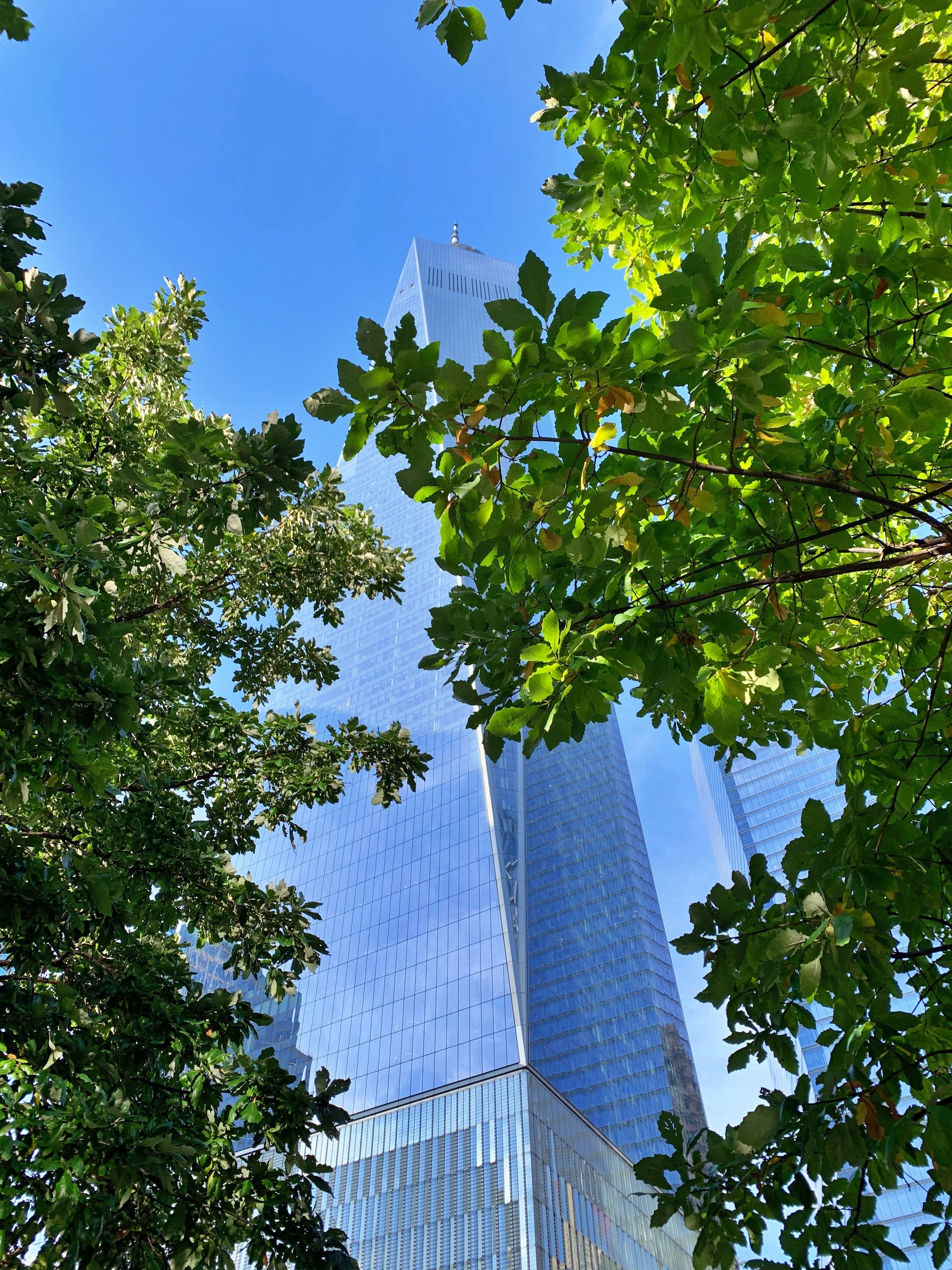 world trade center new york