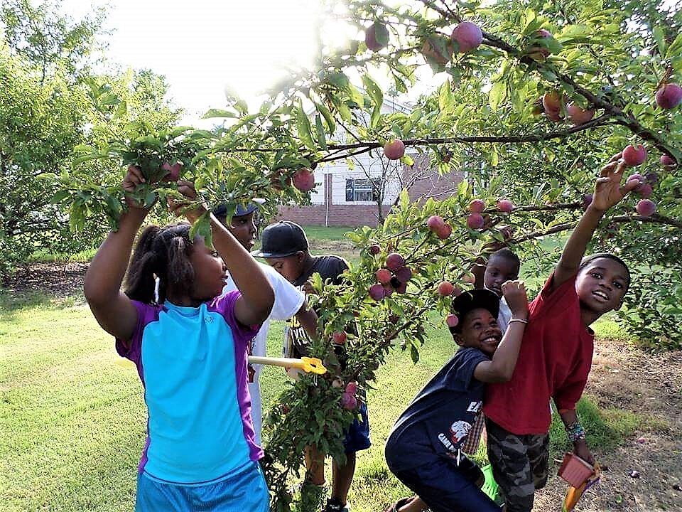 Little Children Playing in Garden Mississippi Youth Community Gardens Gunnison .jpg