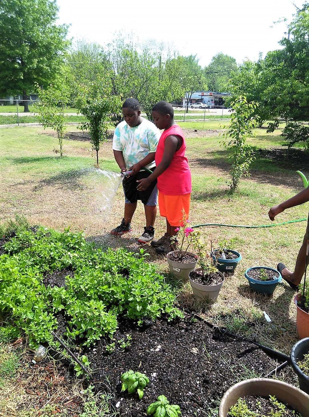 Young Boys Learn To Garden Mississippi Youth Community Gardens Gunnison .jpg