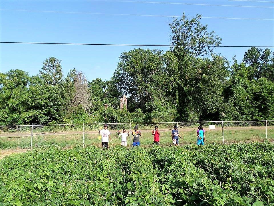 Little Children in Garden Mississippi Youth Community Gardens Gunnison My-Crop.jpg