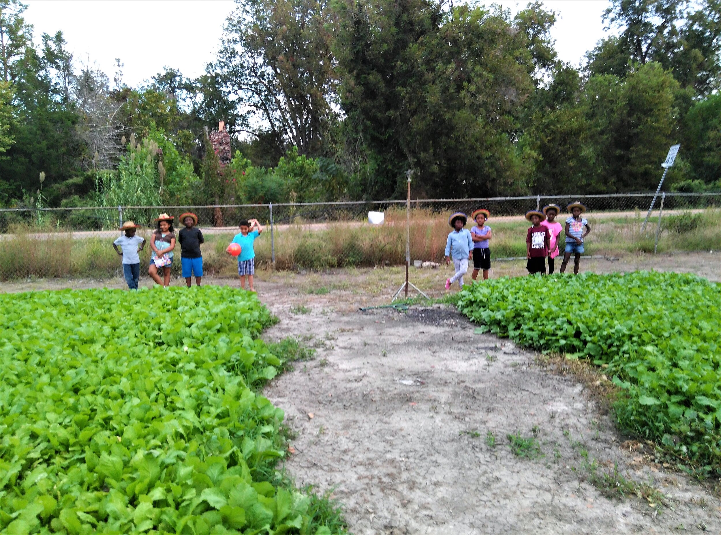 Sustainable Farming Community Empowerment Children Learning Mississippi Youth Community Gardens Gunnison.jpg