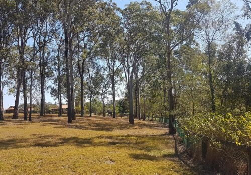 Project:&nbsp; 2 x 4 bedroom houses (for occupants with high-care needs)  Developer: &nbsp;Youngcare  Value:&nbsp; TBA  Role:&nbsp; Community Engagement  Phase: &nbsp;Pre-DA Approval