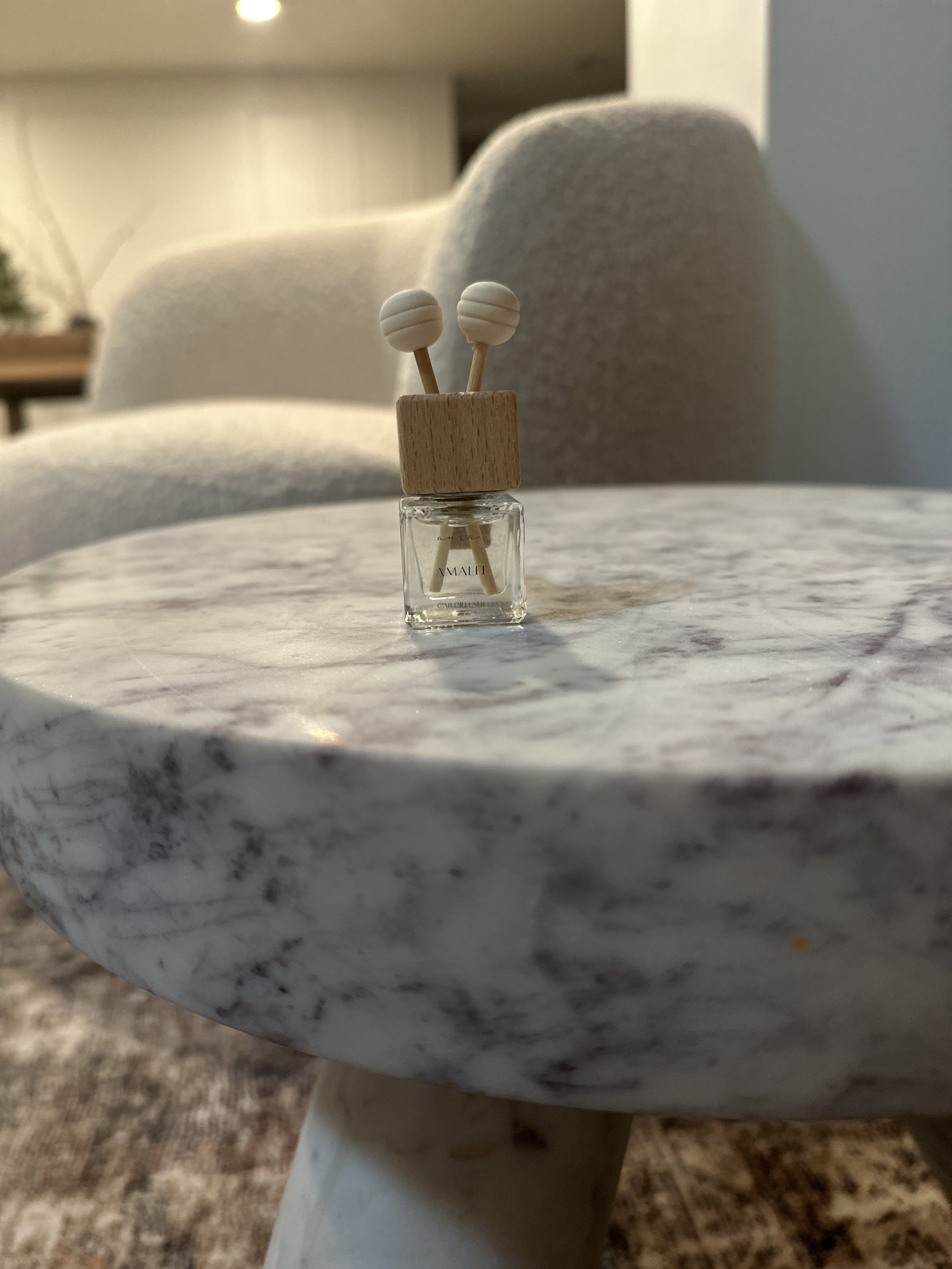 COASTAL SUMMER CAR DIFFUSERS