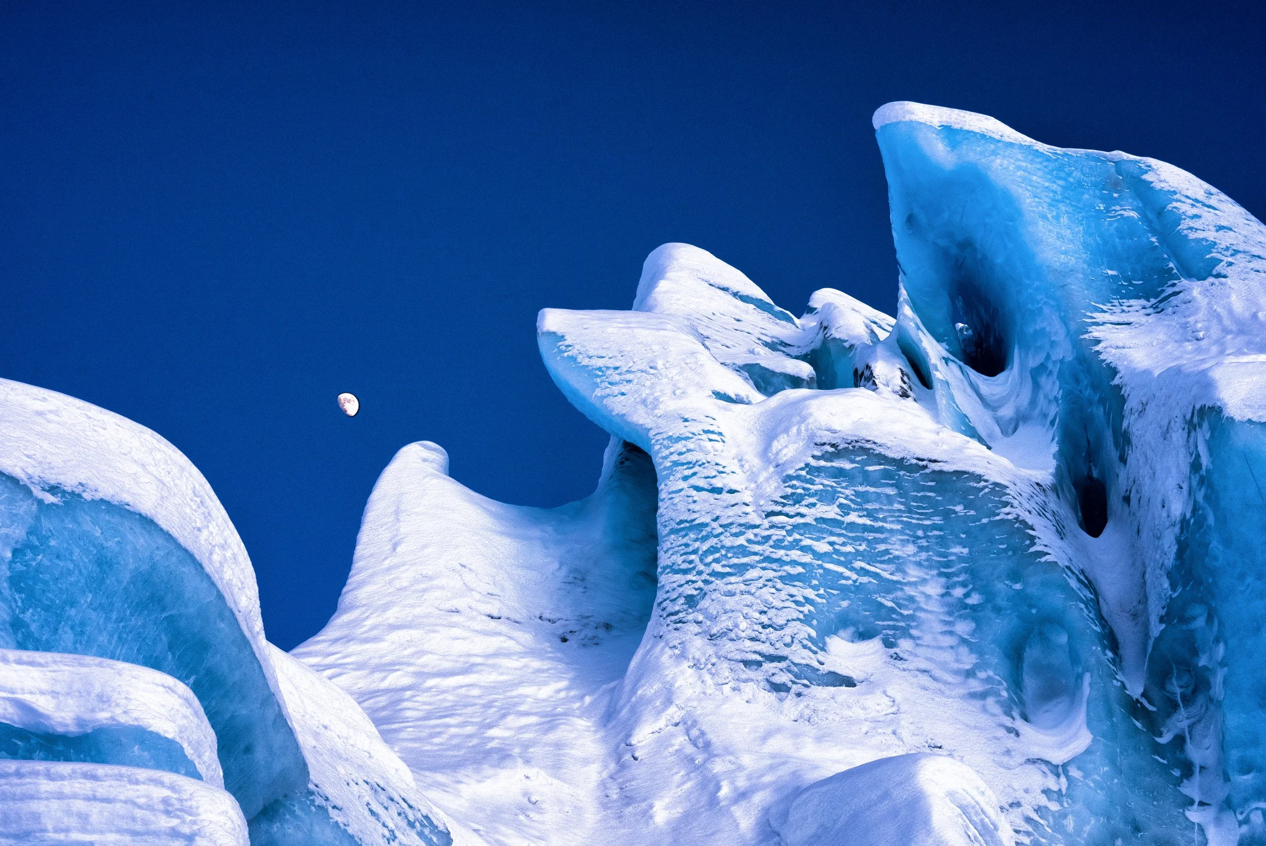 2026.03.27_DSC00027-Edit-2.jpg