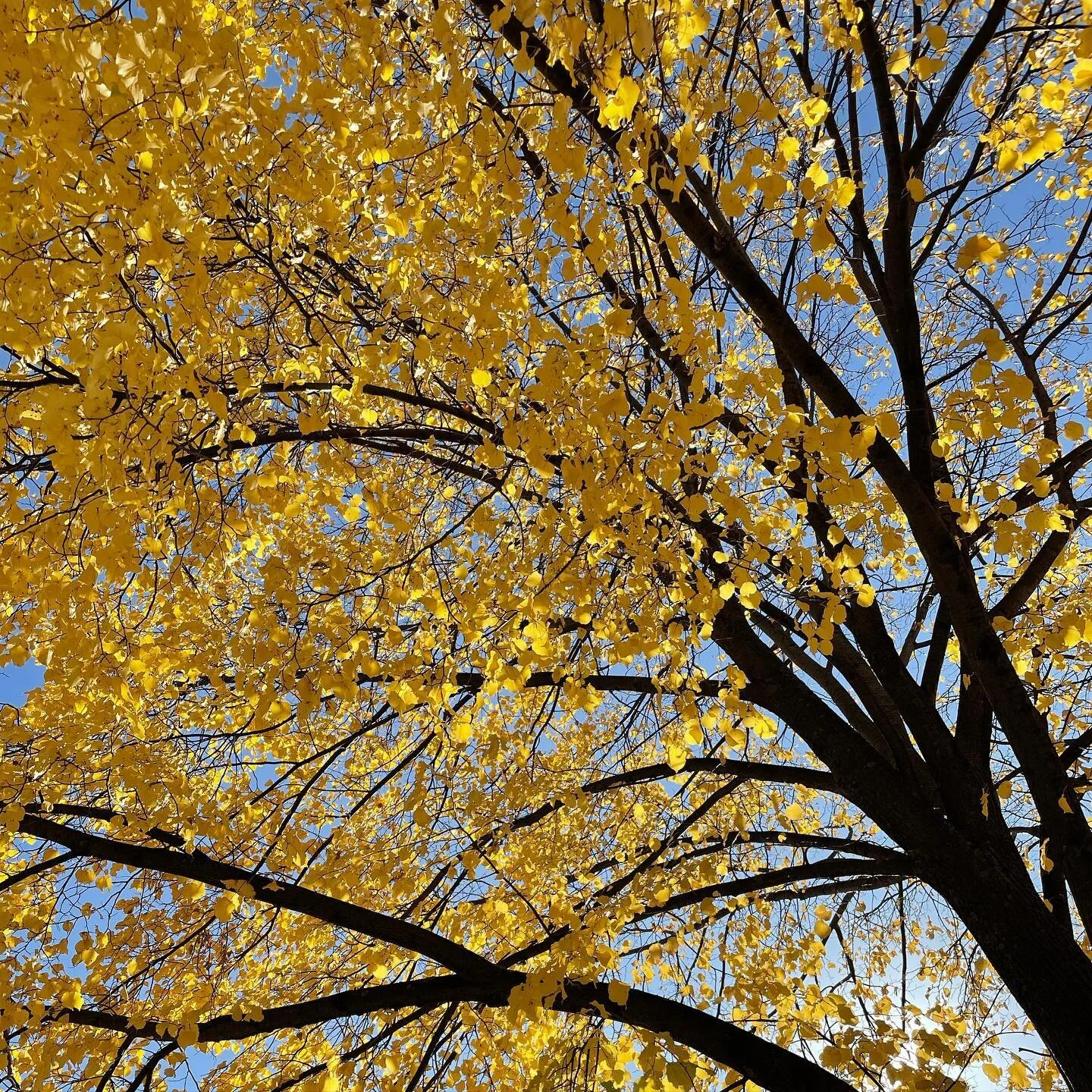 Morning ride on this sunny day! The city is poppin today.