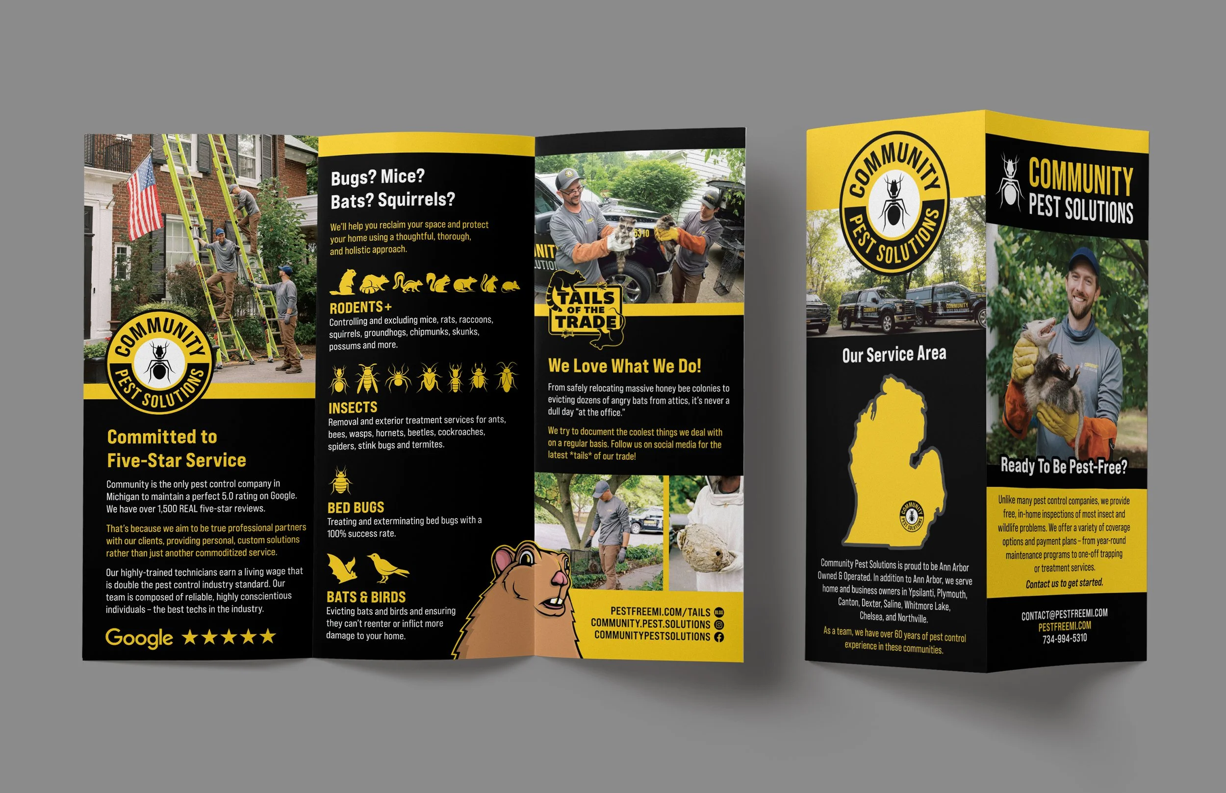 brochure design ann arbor