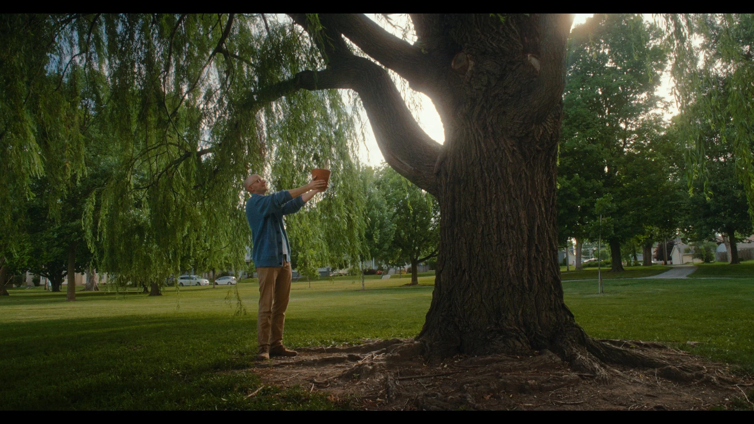 FORT WAYNE TREES