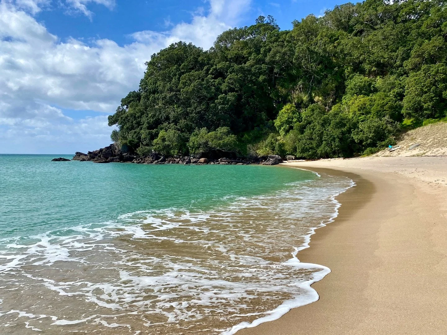 Dates still available in Coromandel paradise! Get in comms to book your date 🌿🌿🌿
Weddings, Elopements, Family etc etc 
www.lushphotographynz.co.nz
@lush_photography_nz
