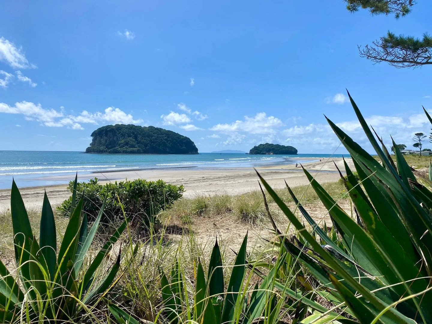 Summer is back today in Whangamata!
👏🏼👏🏼👏🏼