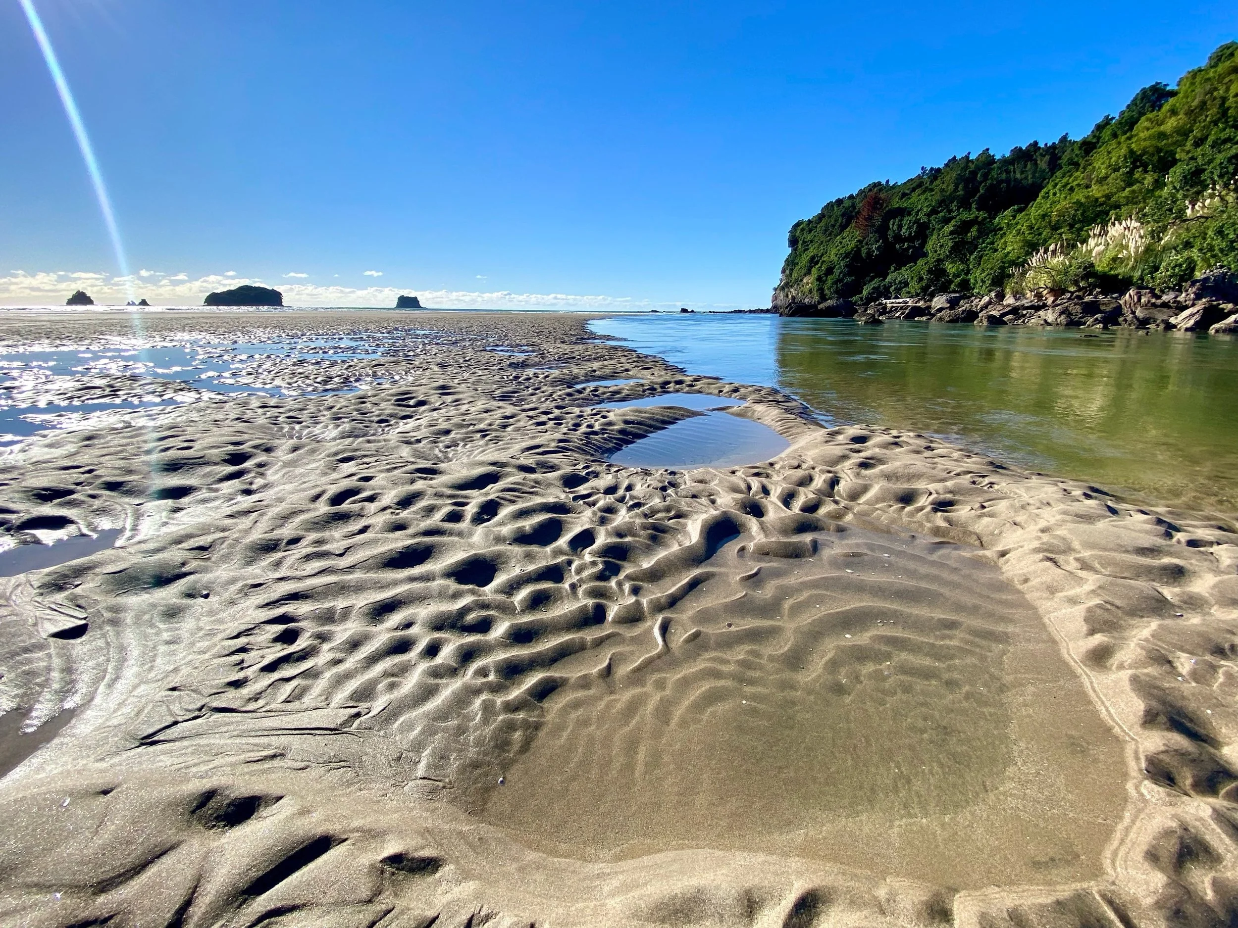 Whangamatā, turning on another stunner day!! 🙌🏼