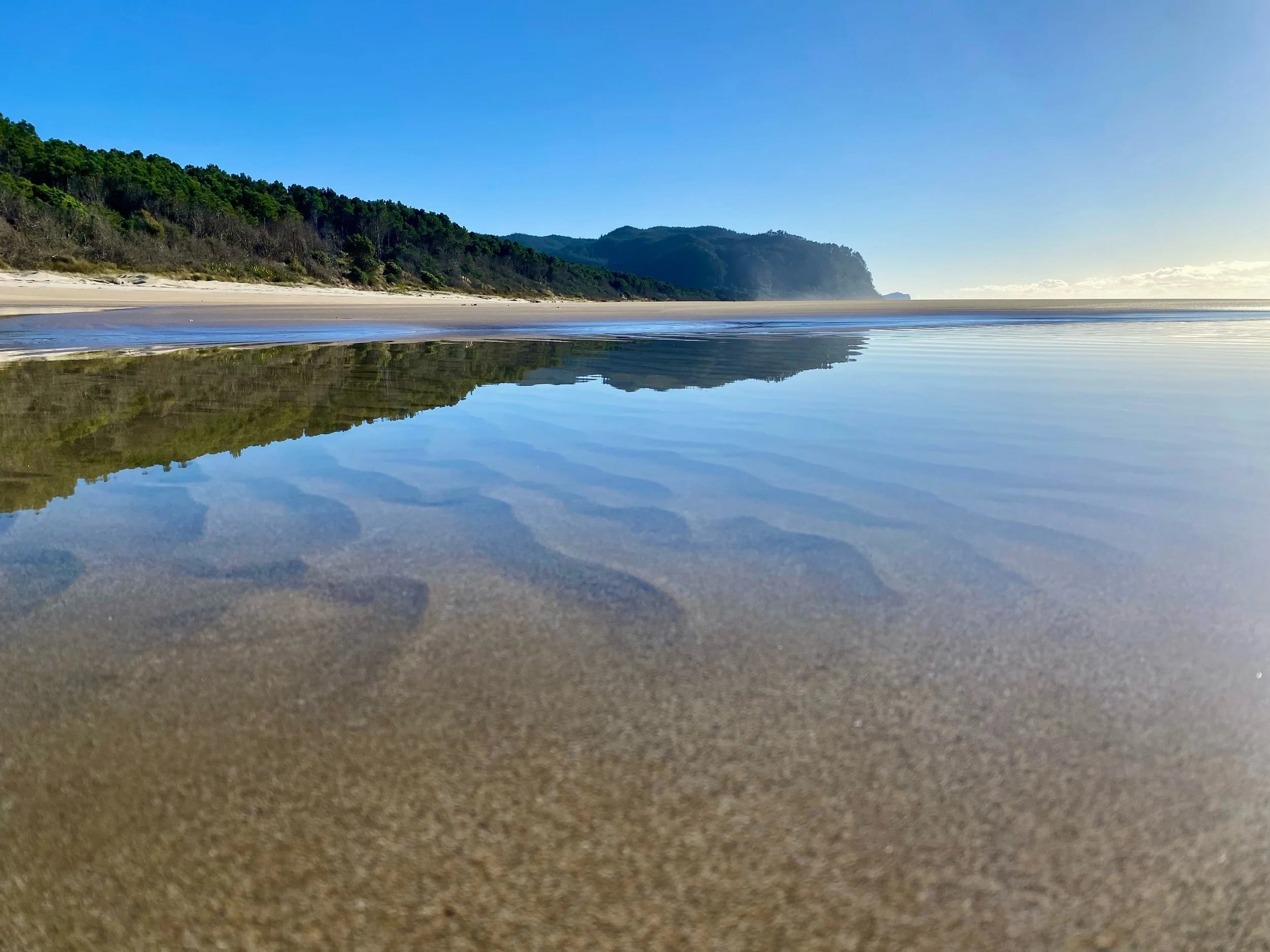 What a way to start a stunning winter day!! Opoutere beach, you gorgeous thing!! 🌿🌿🌿