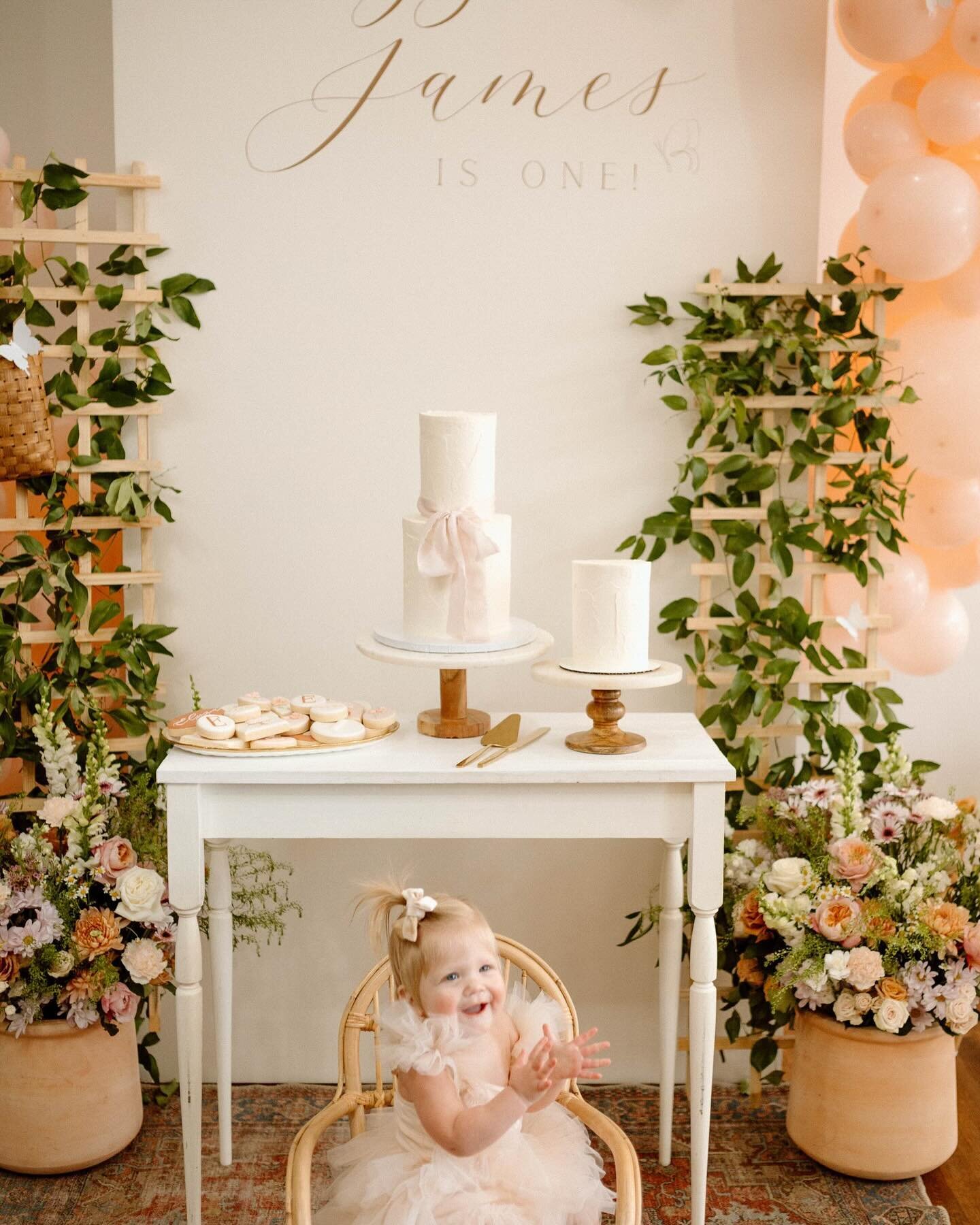 I cannot get over how ADORABLE these pictures turned out 🥰 

Thank you Jade @givecoevents for letting me be a part of Elyza&rsquo;s 1st birthday!

📸 @emilycarolphotos