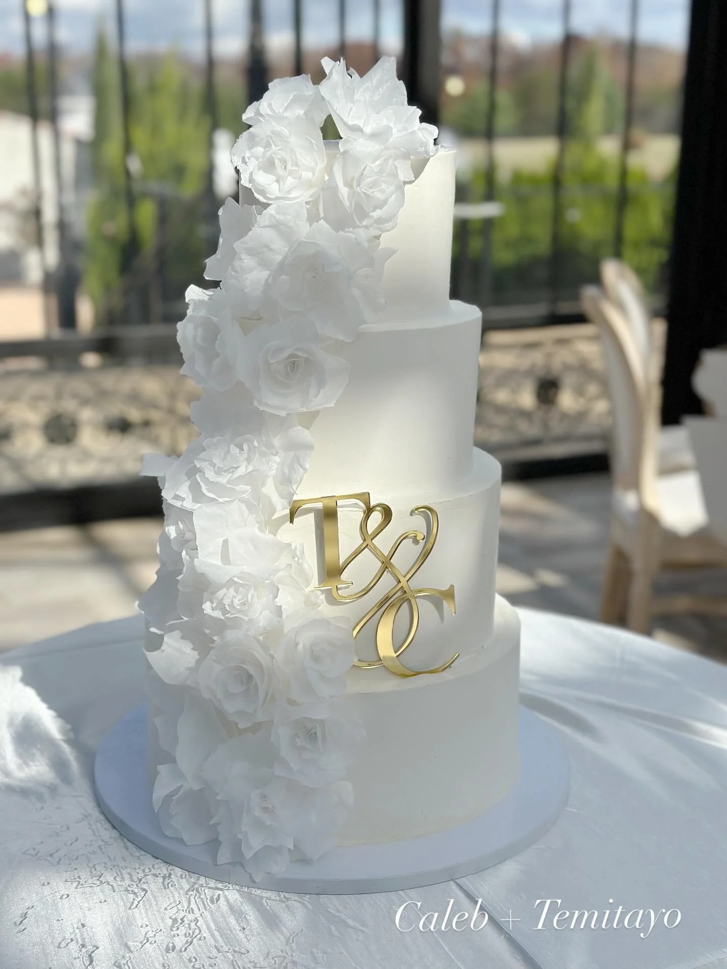 Congratulations 
Caleb + Temitayo

Venue: @theconservatoryblackberryridge 
Planner: @uniqueeventsbyshollah