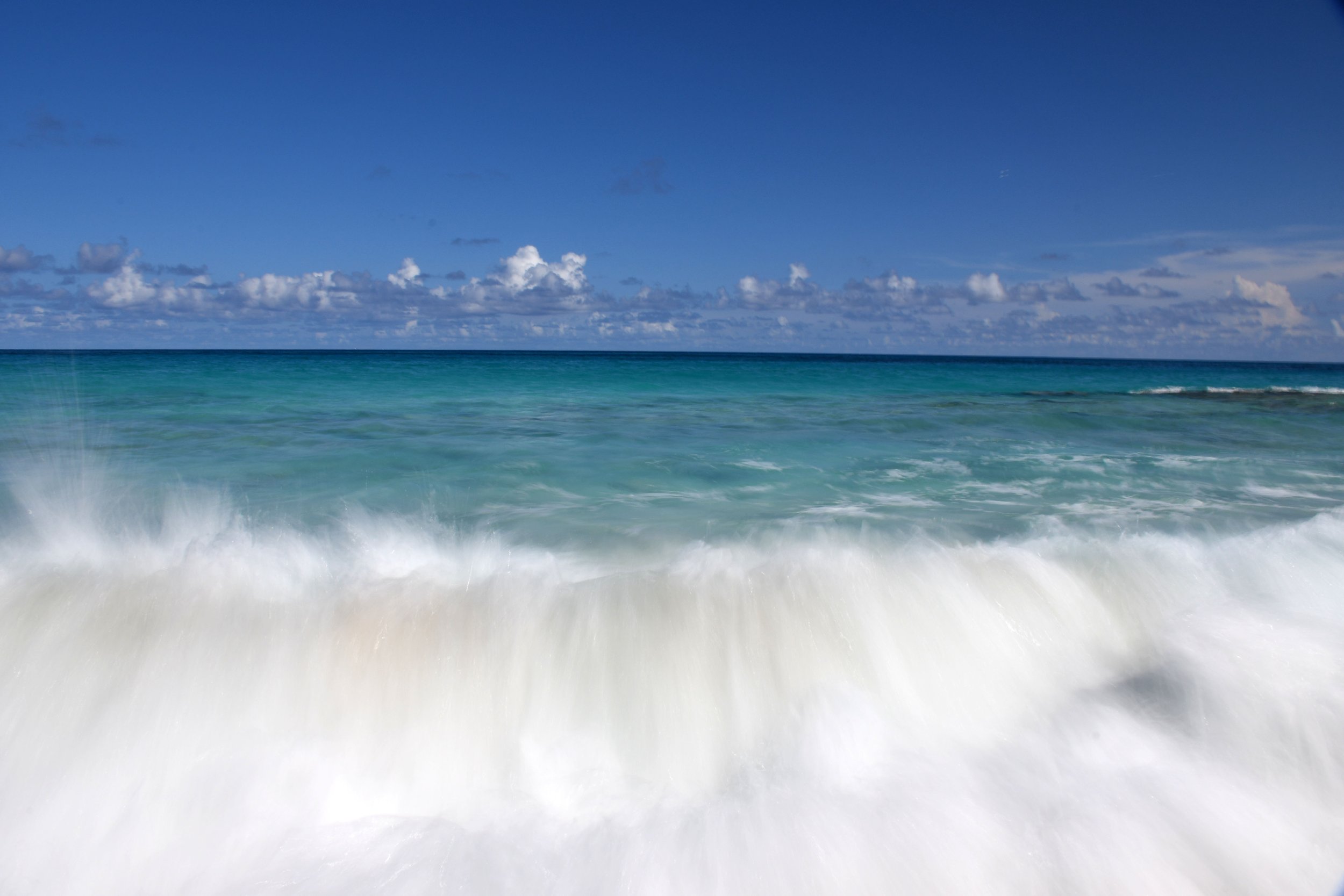 bermuda19.jpg