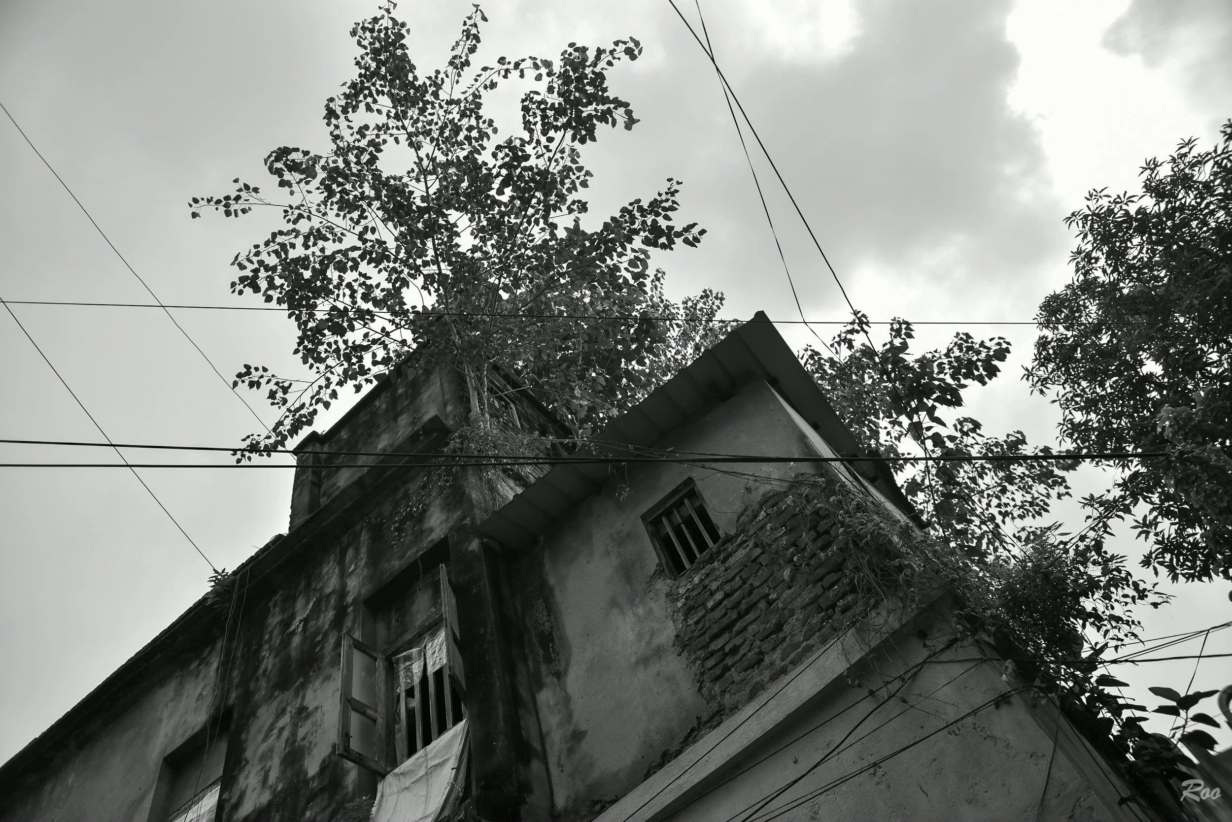 Old friend's place