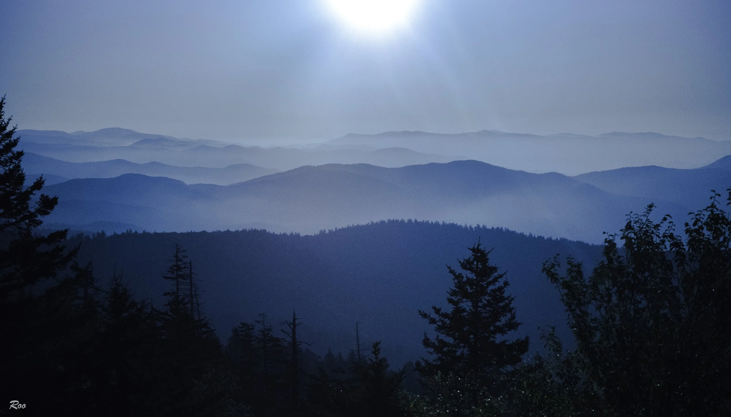 Misty morning