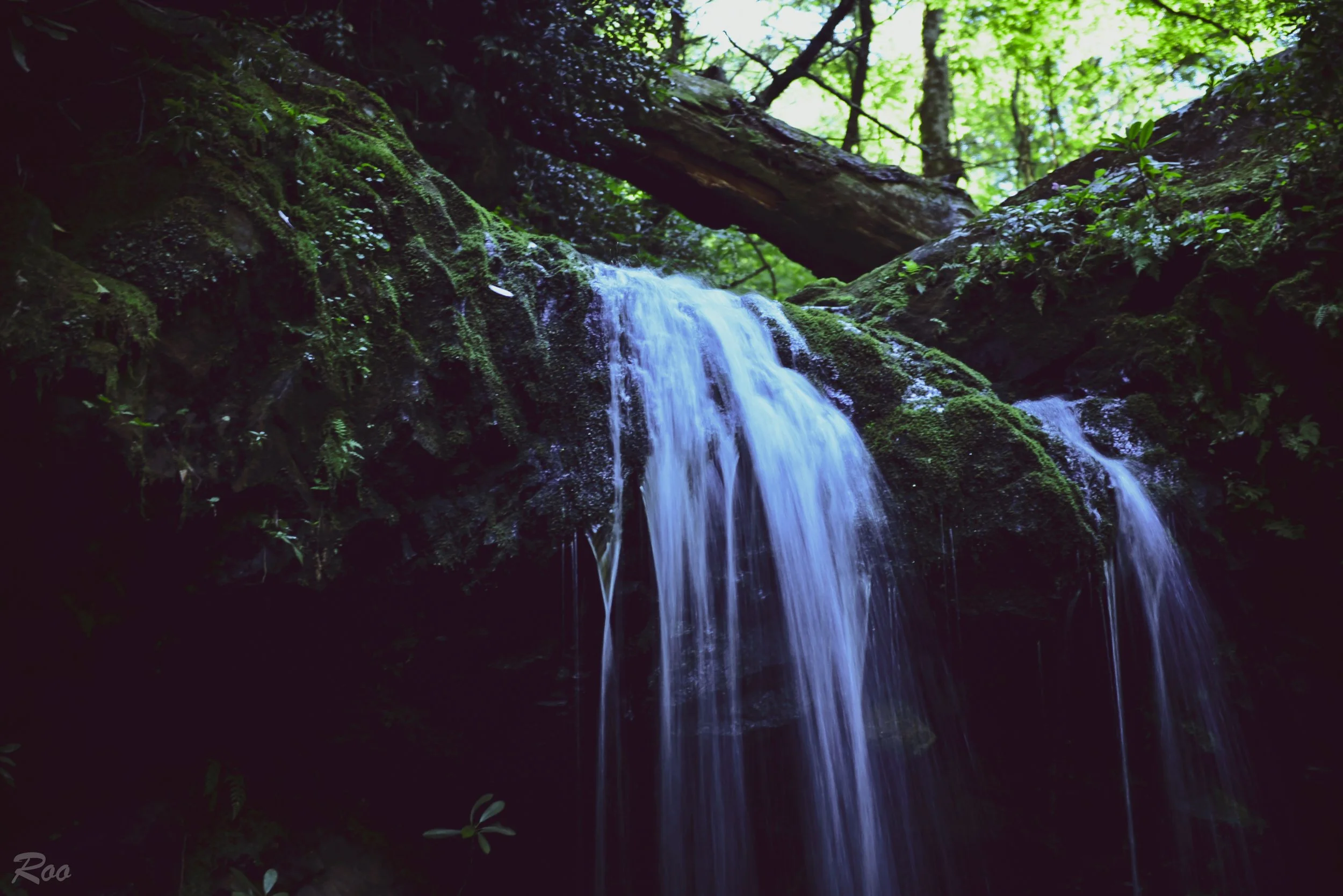 Mossy