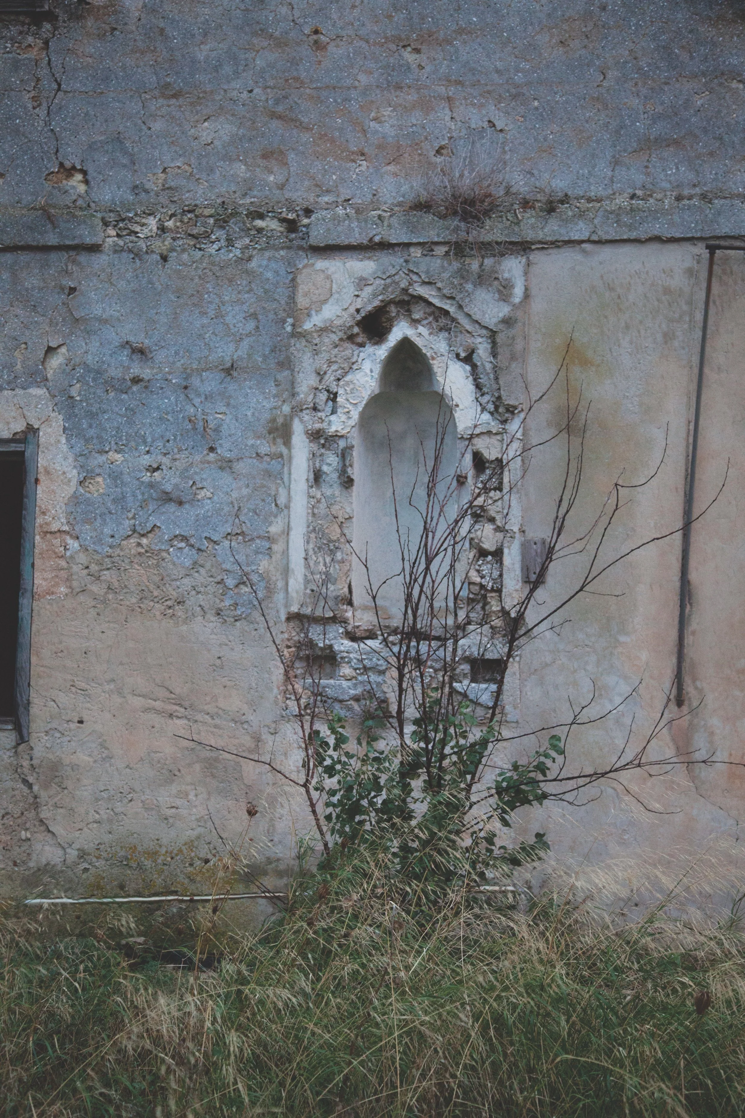 2-Evolving Nature God.jpg