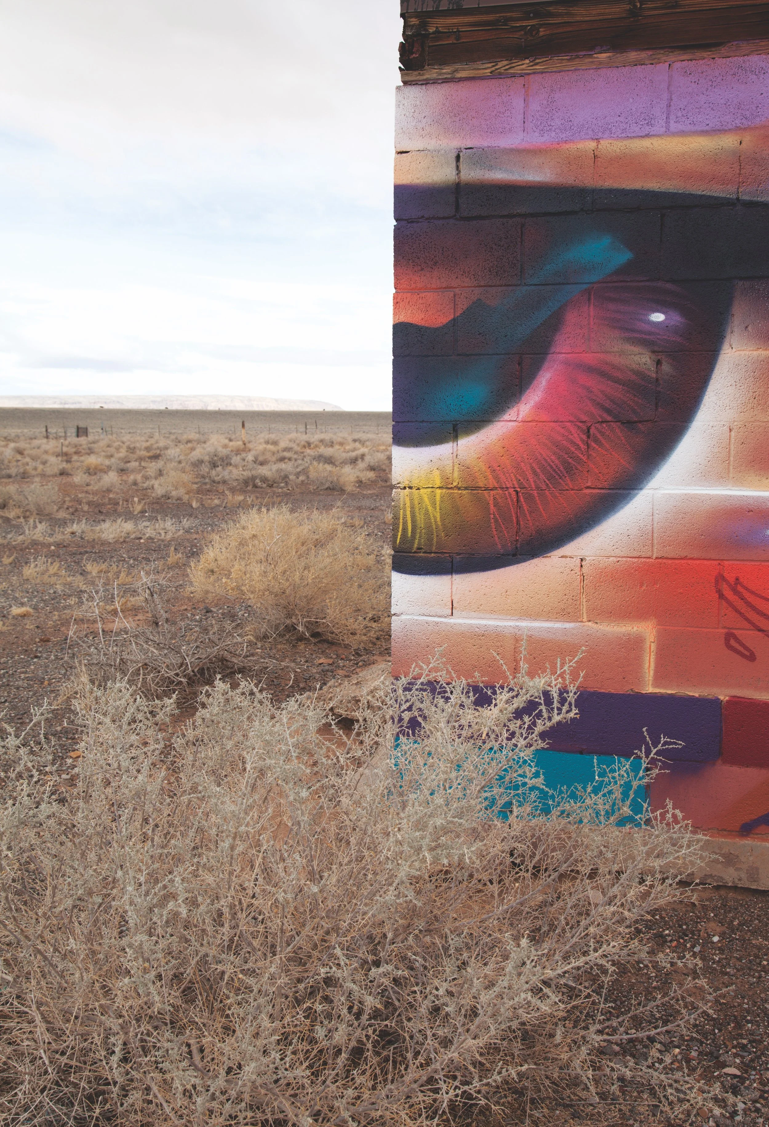 3-Supposed Perception.jpg