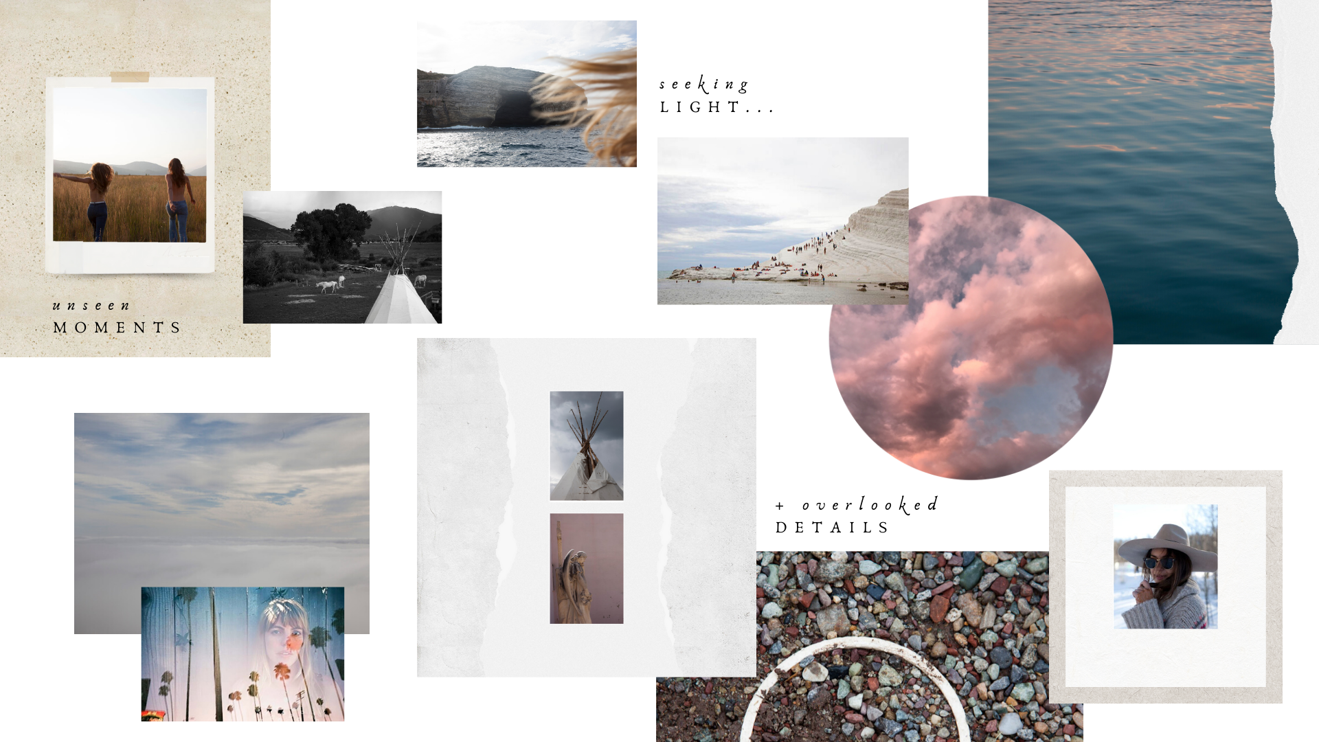 Jessie Chaney (3).png