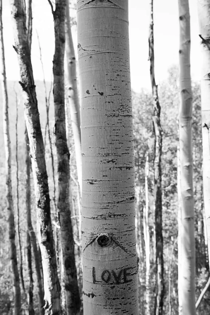 Aspen Peak Magazine: Through the Lens