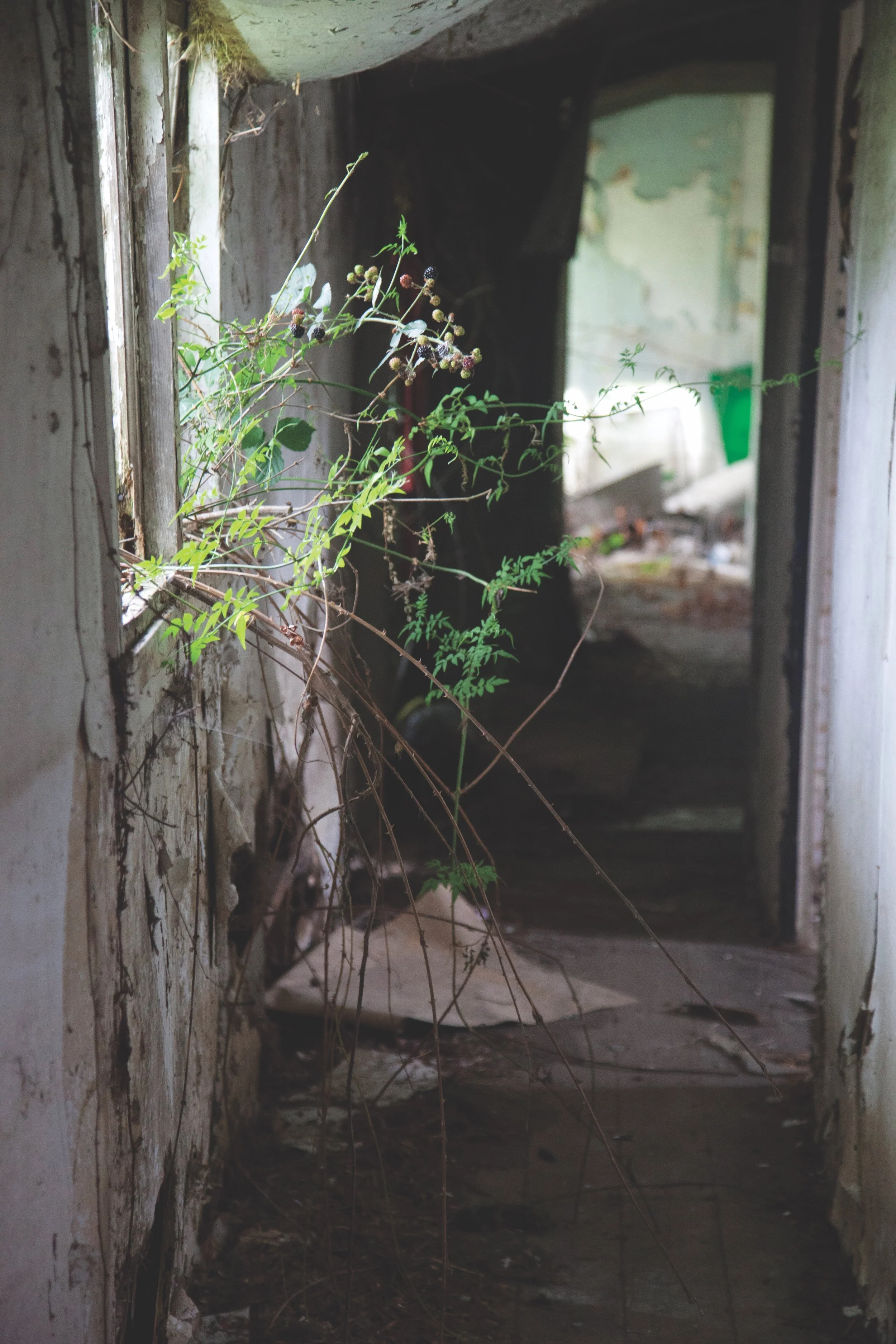 1-Degnerated Exclusion.jpg