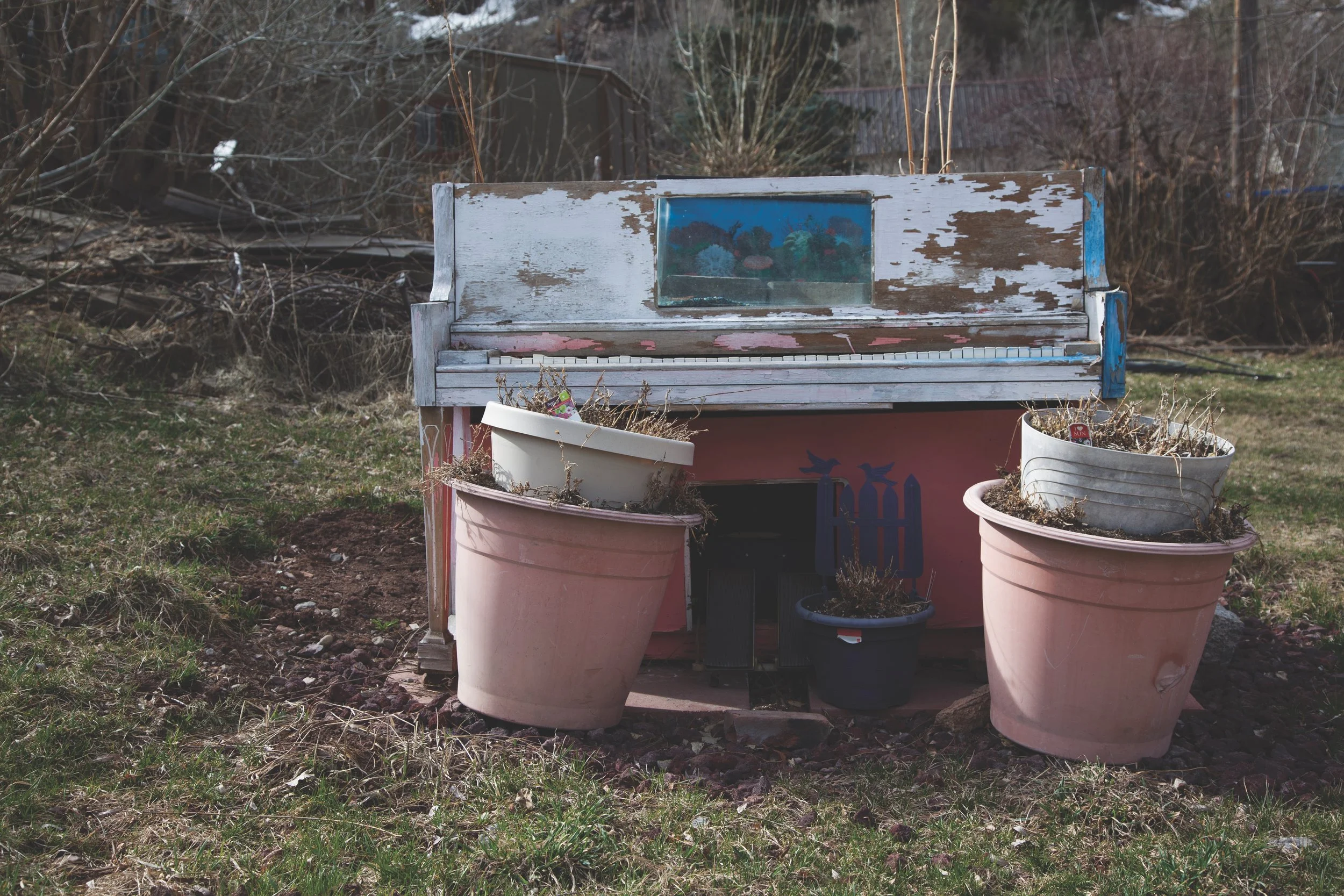 2-Nature's Melody.jpg