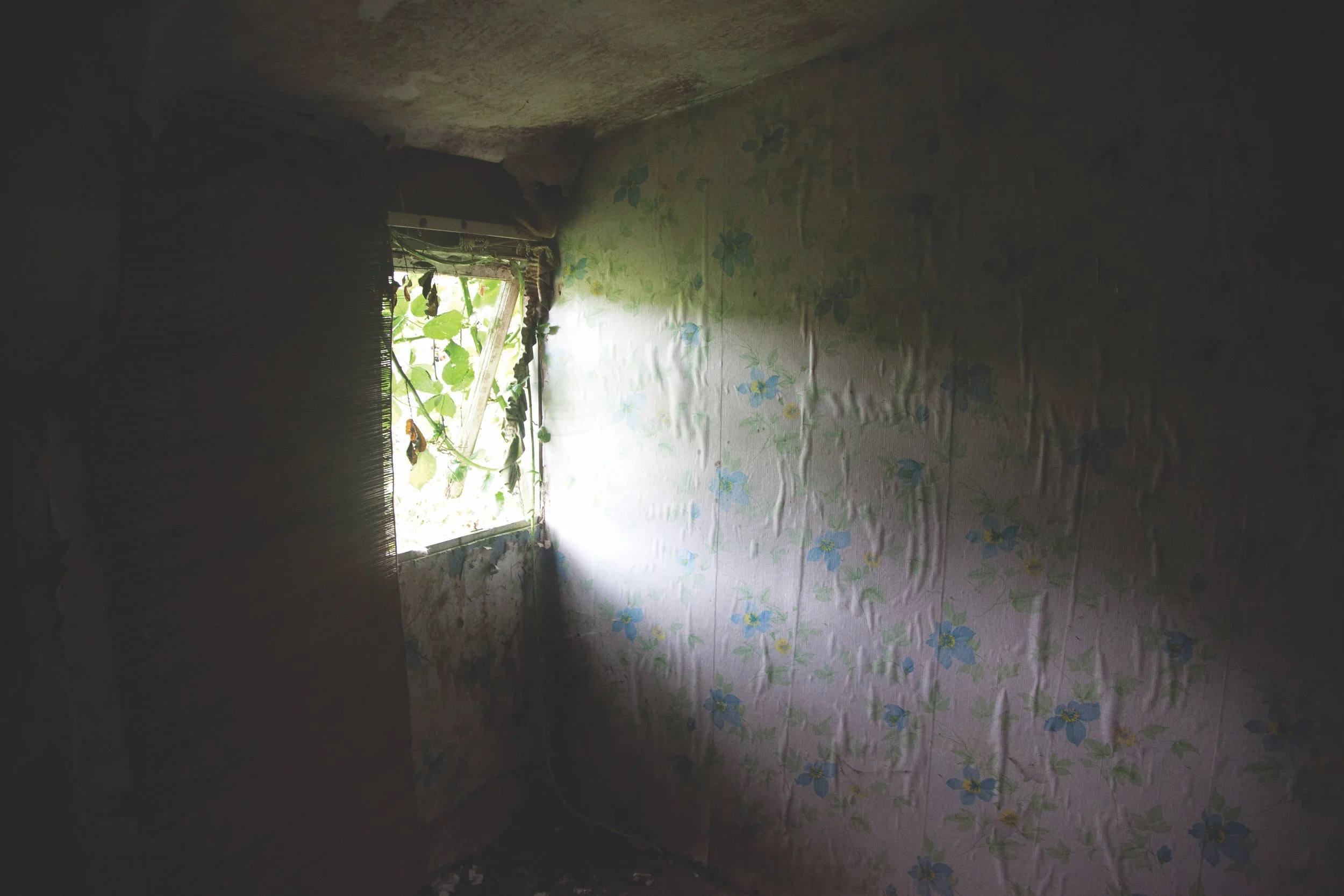 1-Incidental Feeling.jpg