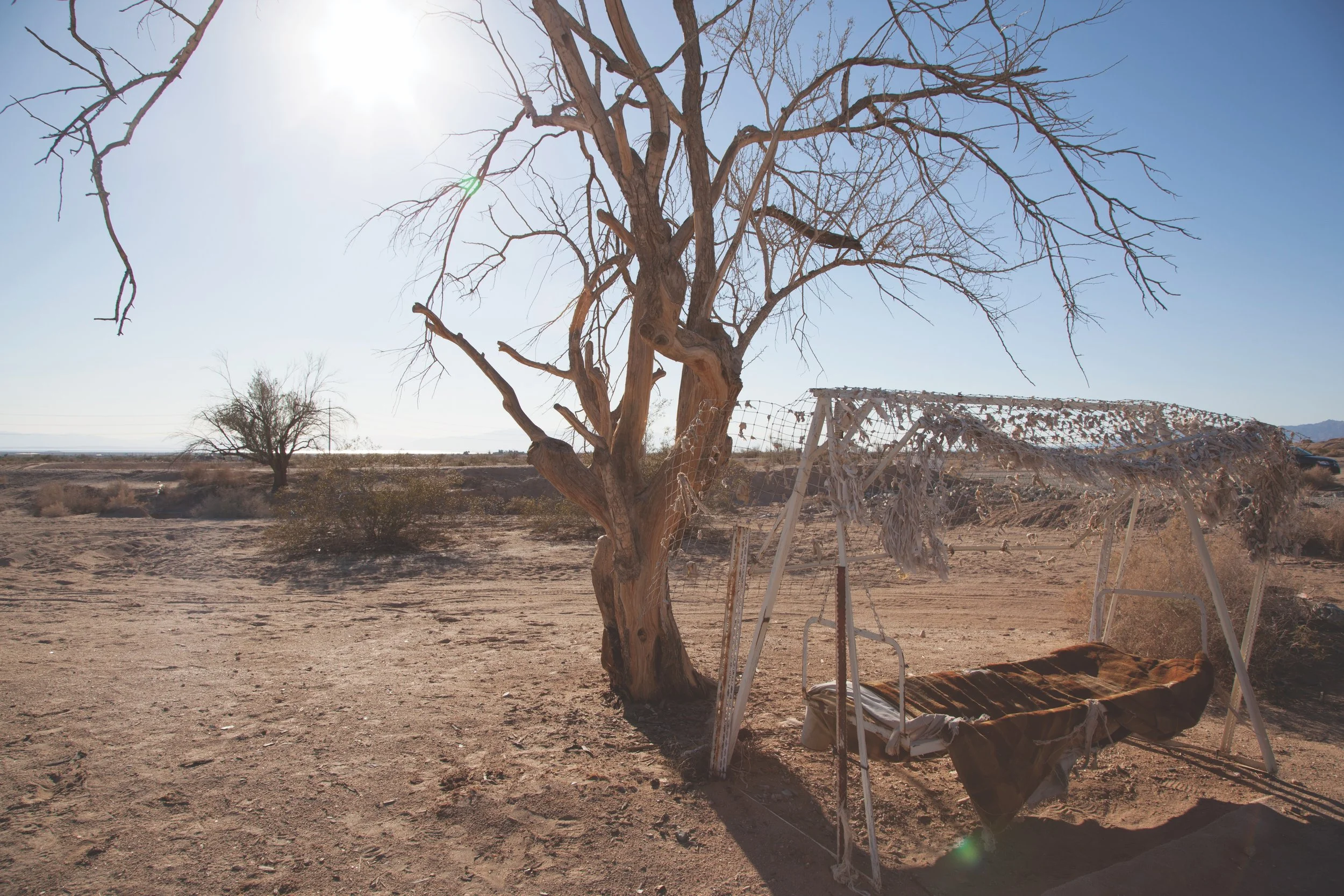 1-The Giving Tree.jpg