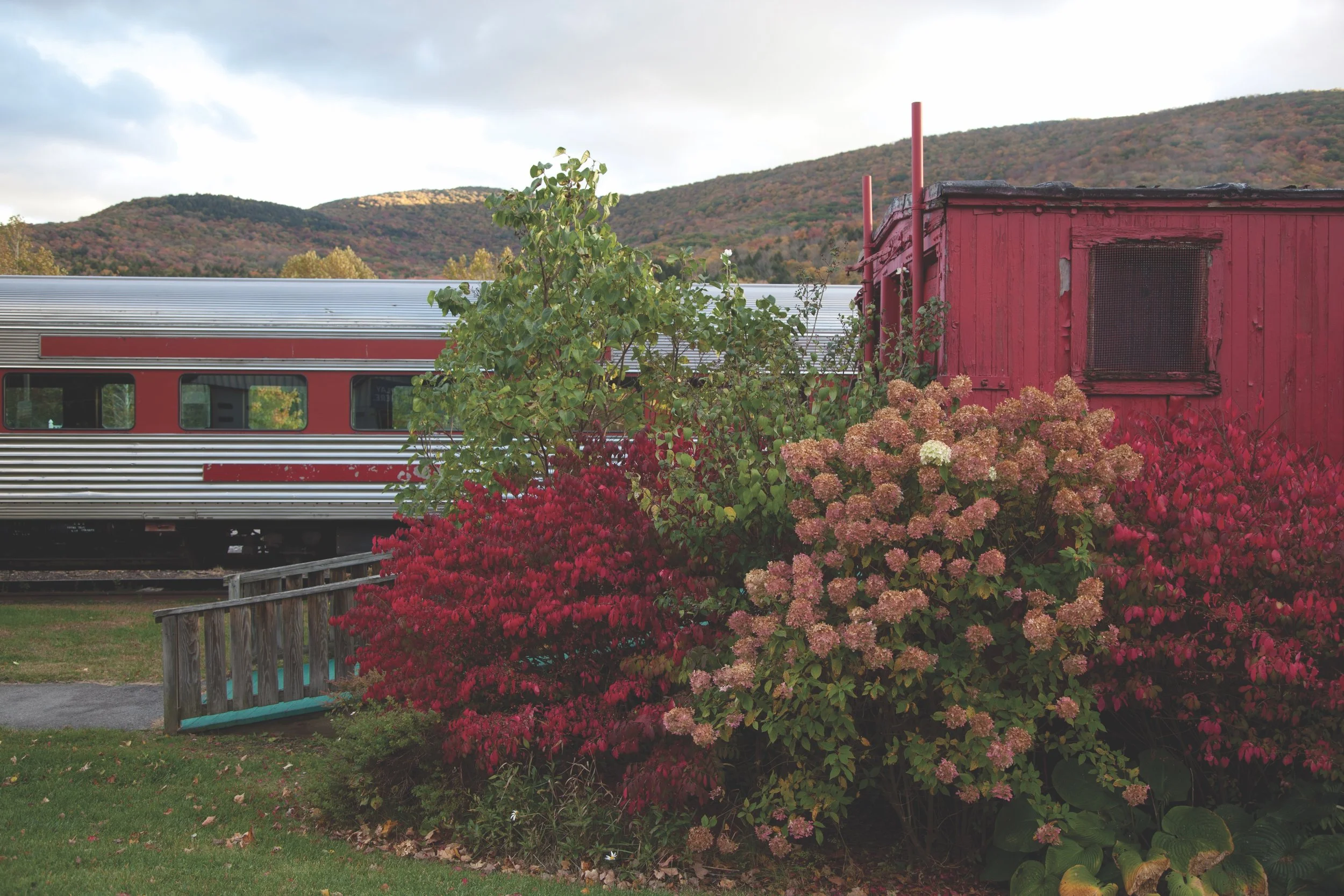 3-Onlooking Passenger.jpg