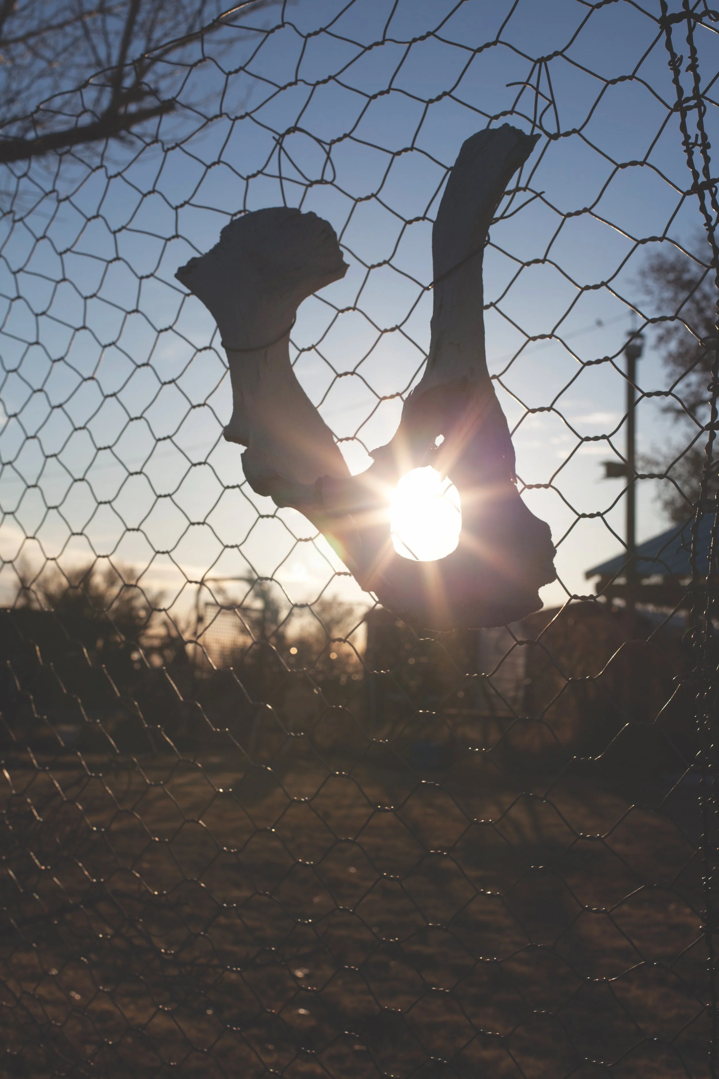 2-Pelvic Protection.jpg