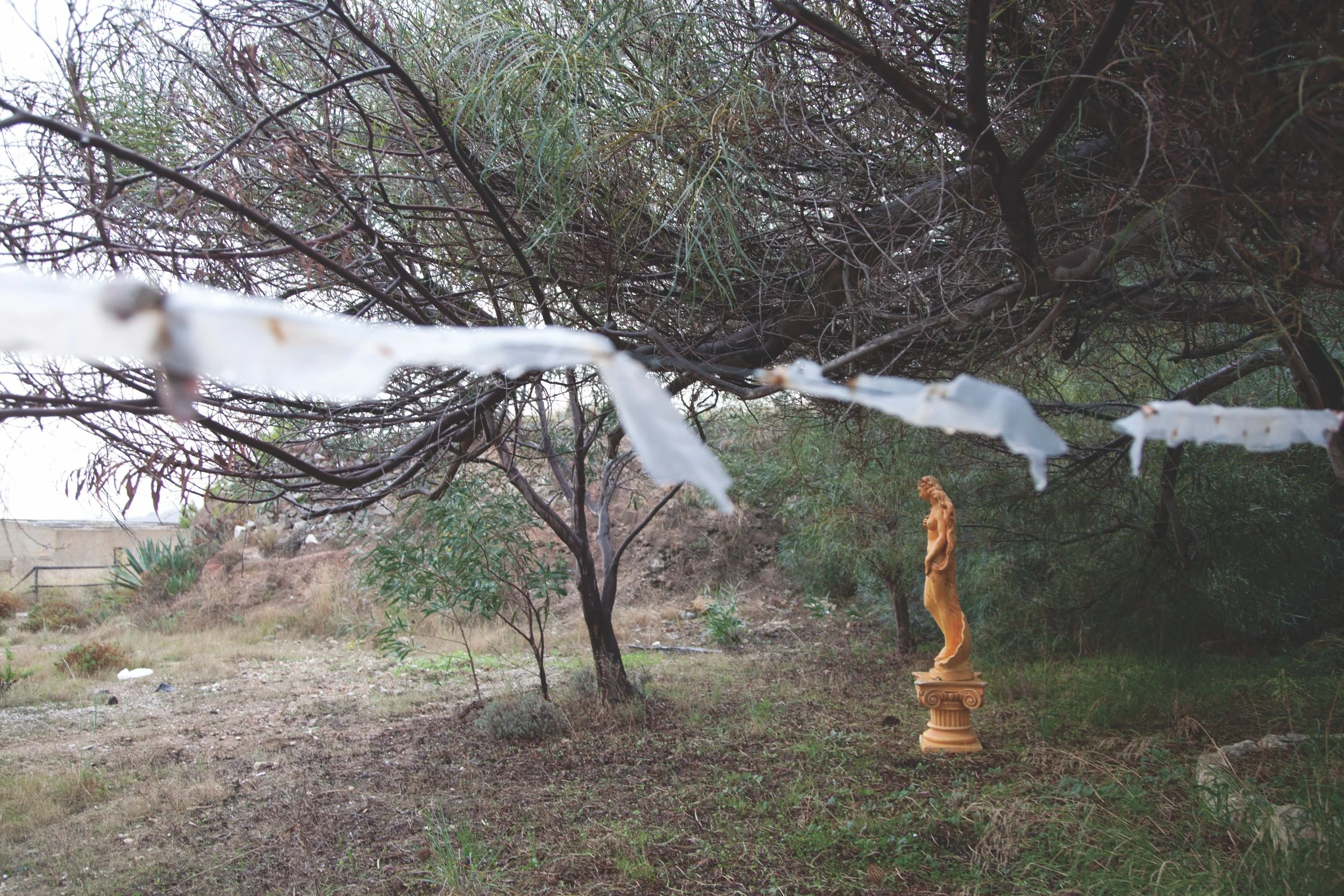 2-Venus of Passion.jpg