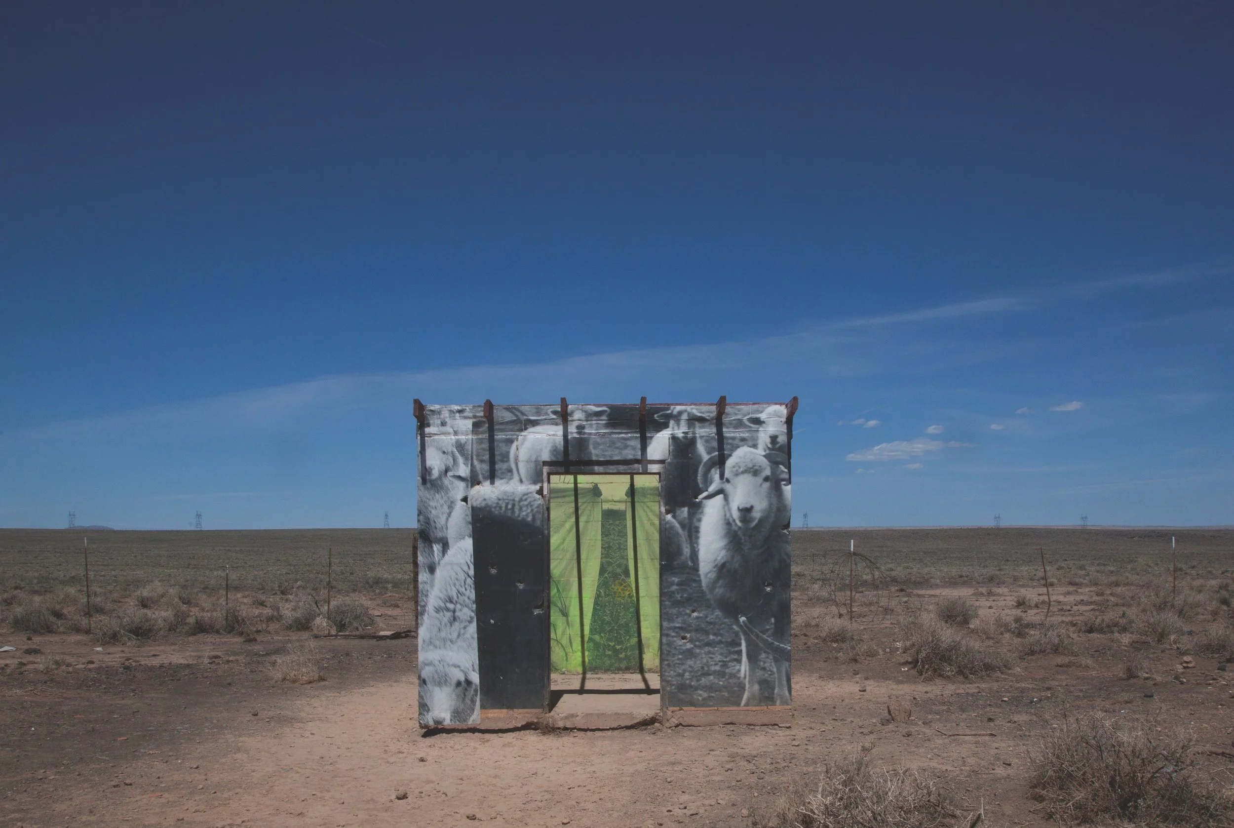 3-Surrealist Sheep.jpg